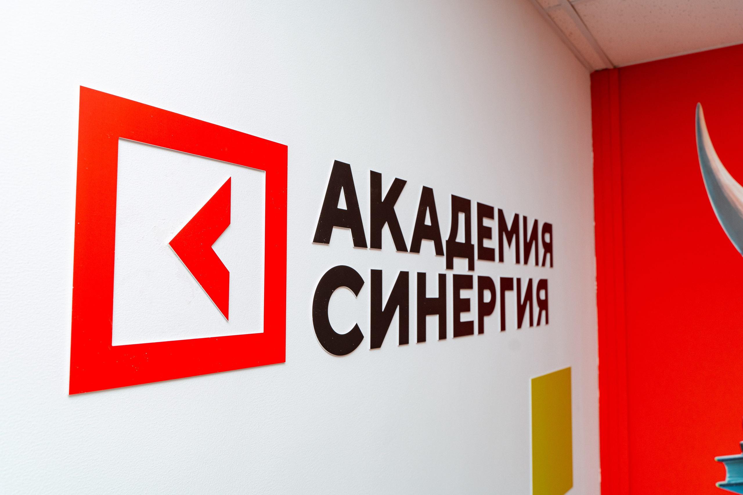 Синергия. Фотограф Мария Зайчик