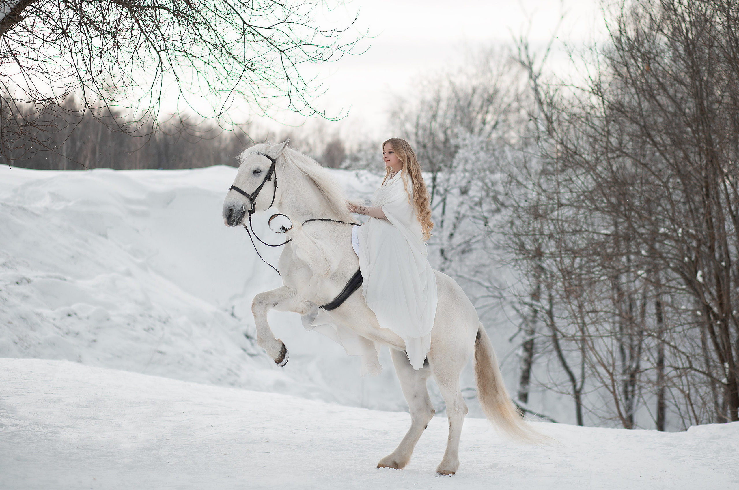 Фотосессия Ангелины и Воробья. Фотосессия с лошадьми в Нижнем Новгороде