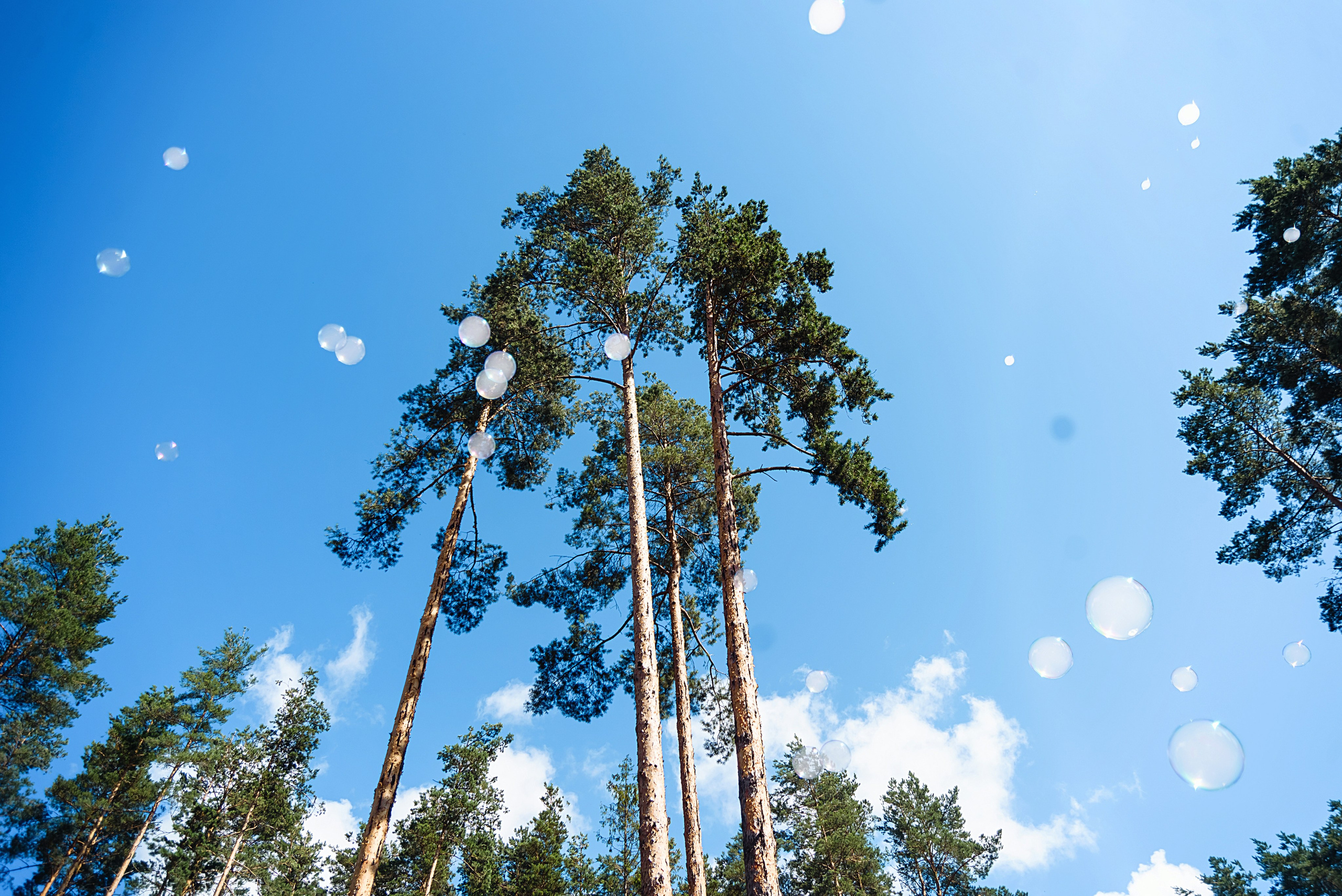 Охта Парк. Фотограф Санкт-Петербурга Наталья Белова