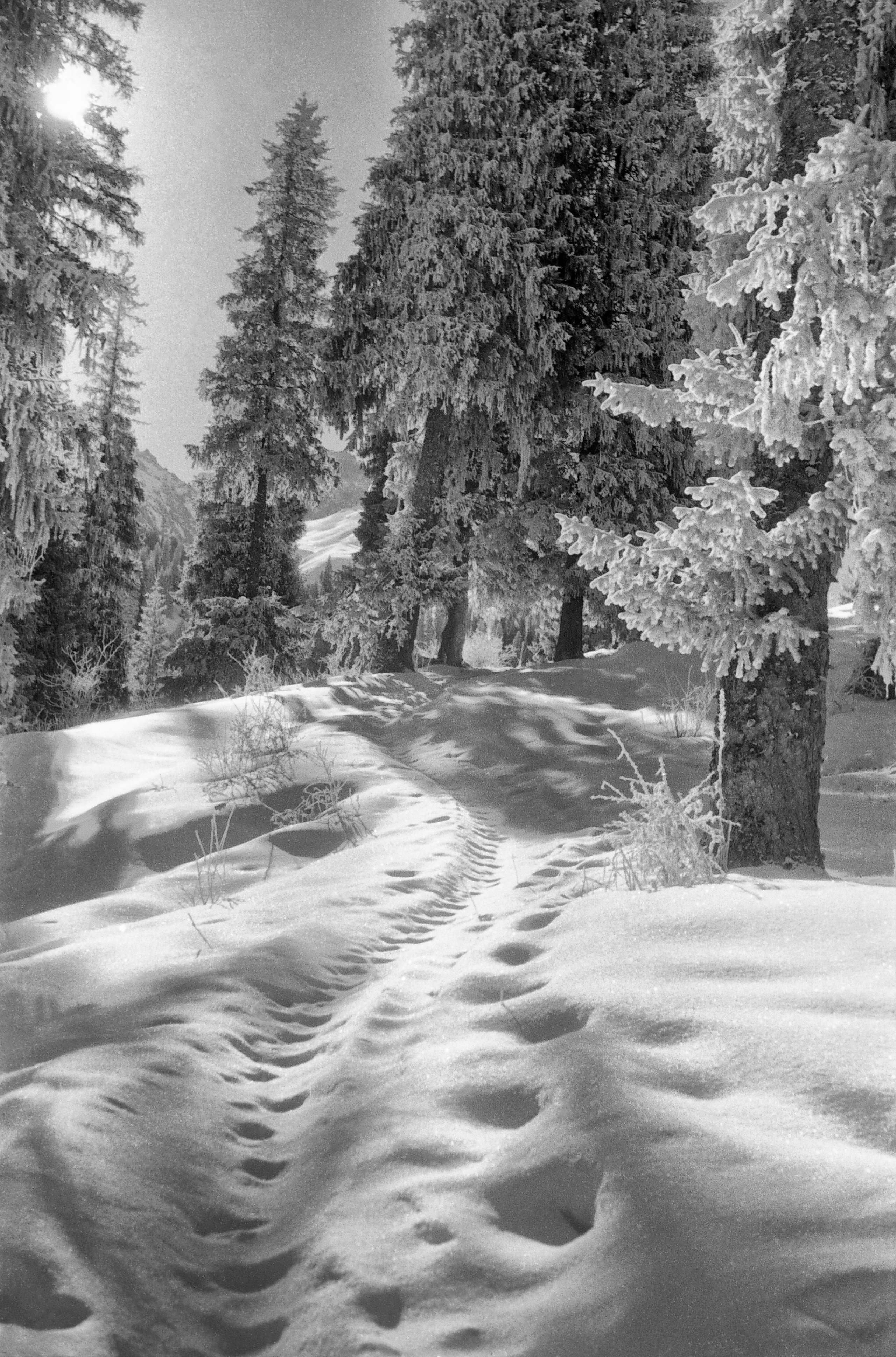 Черно-белая фотография. ВАДИМ ГИППЕНРЕЙТЕР — ВЕЛИКИЙ ФОТОГРАФ ЗЕМЛИ РУССКОЙ