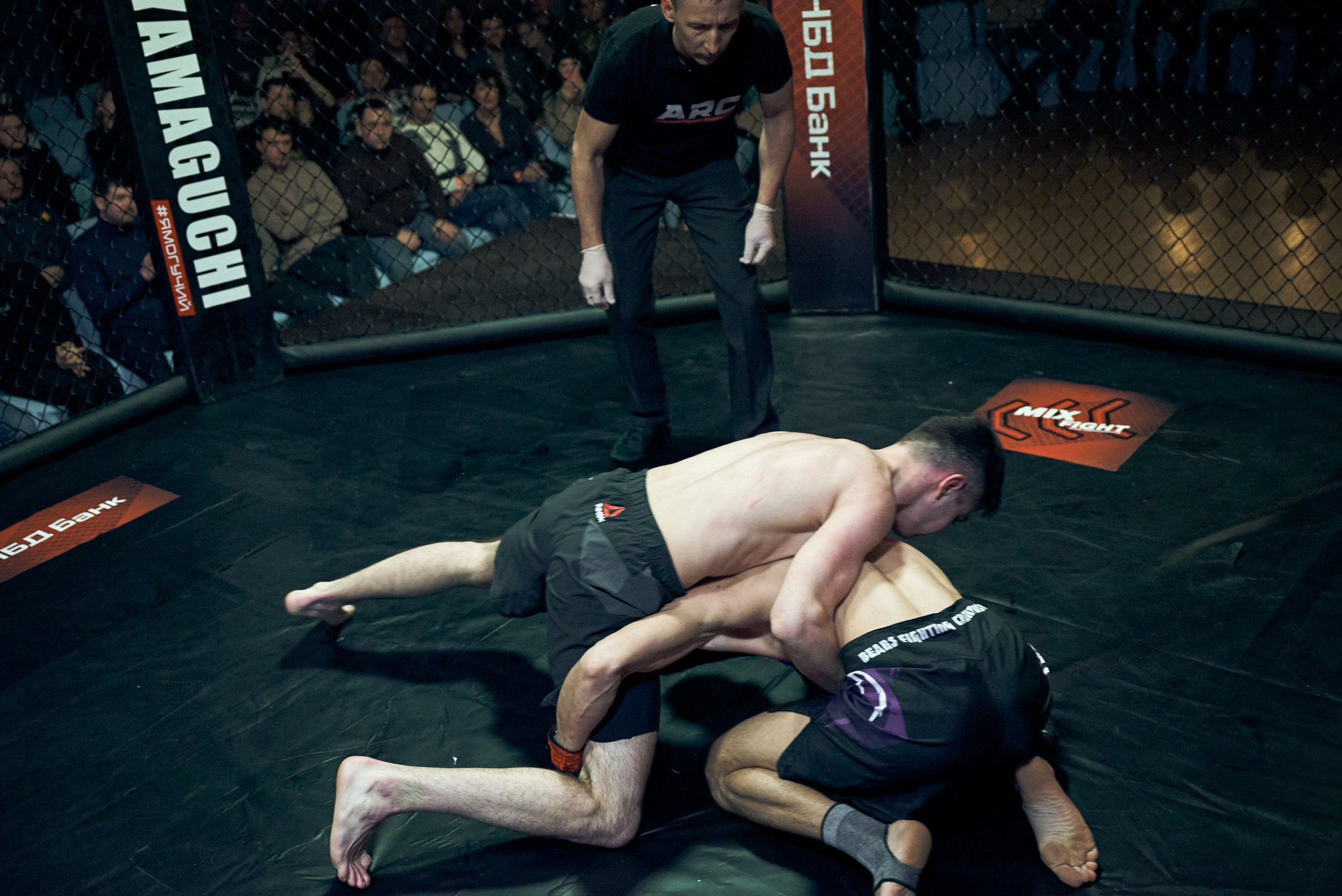 Бои. Маляревич Дмитрий свадебный фотограф