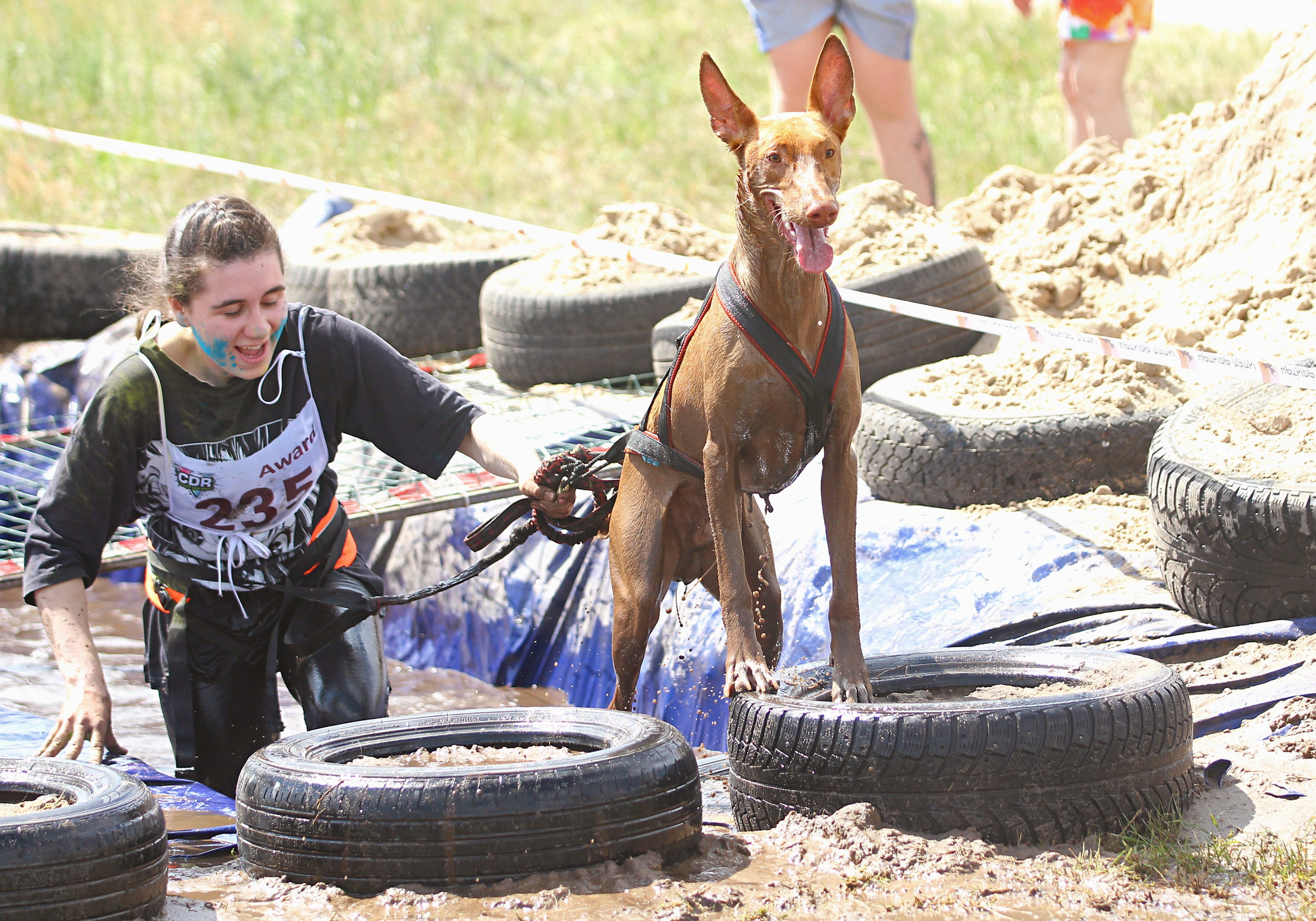 Хвостатый драйв. Семейный и детский фотограф в Москве и МО Елена Москвичева