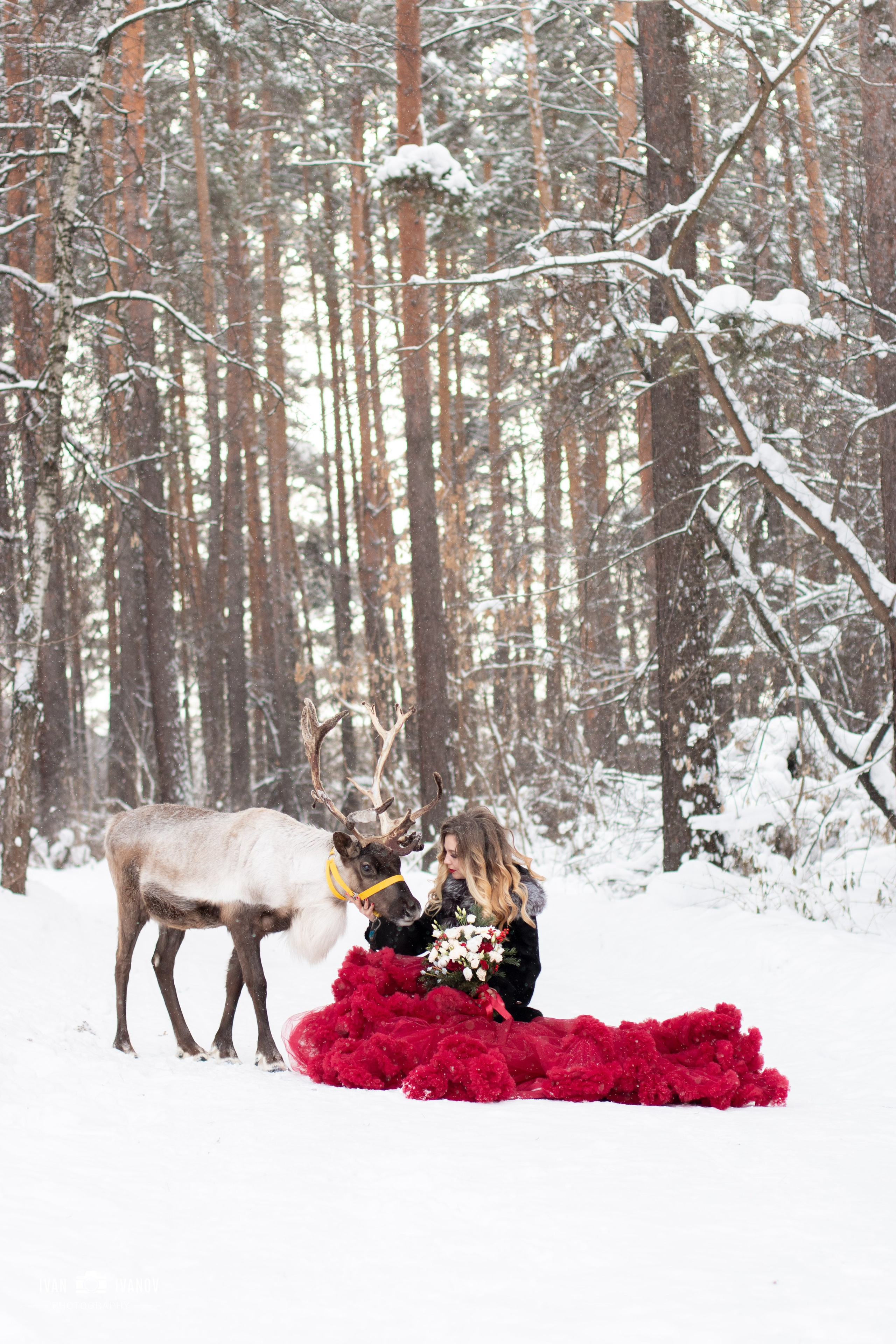 Фотосет с северным оленем. Свадебный и семейный фотограф в Новокузнецке Иван Иванов
