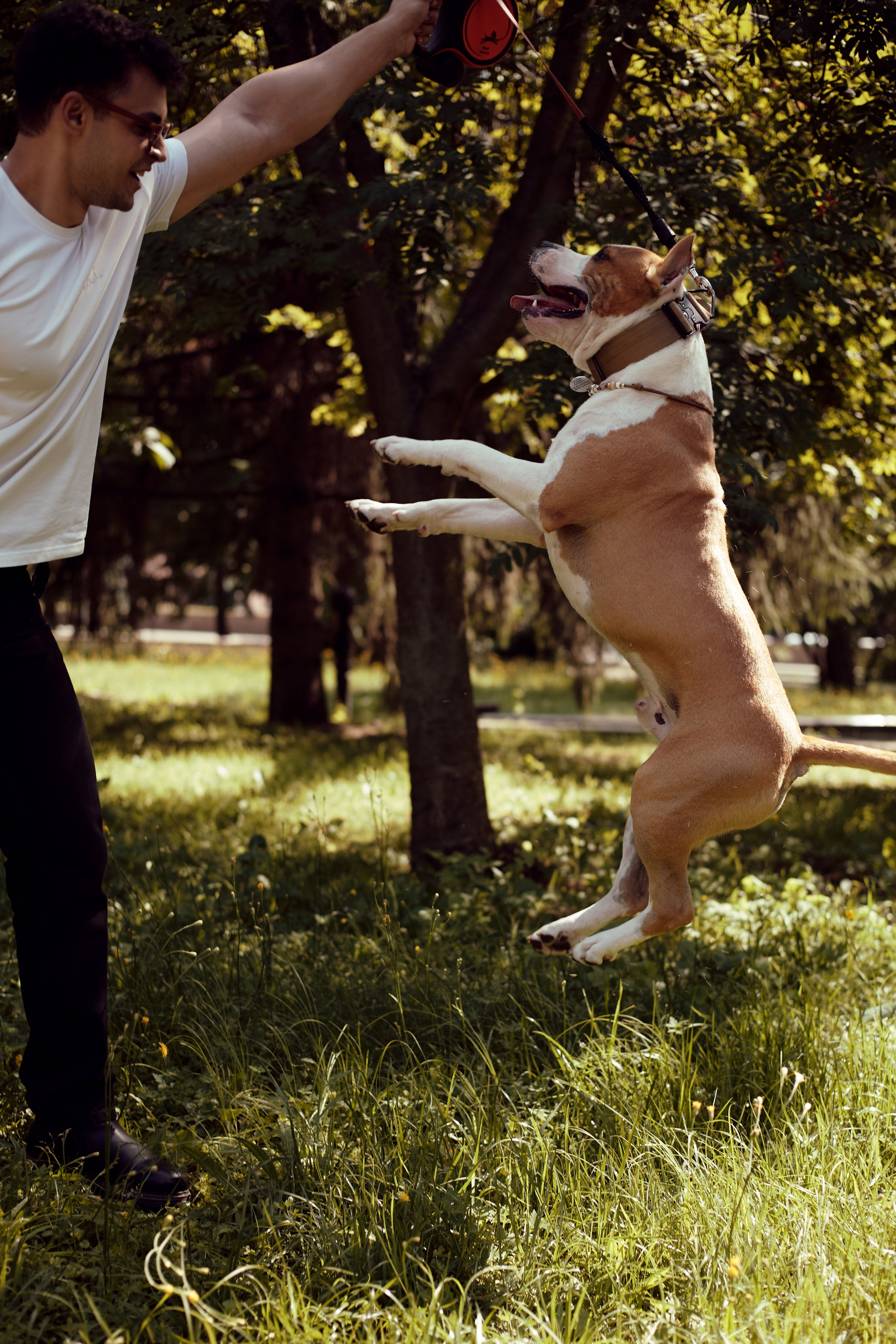 Абдо (прогулка с собакой). Фотограф из Казани