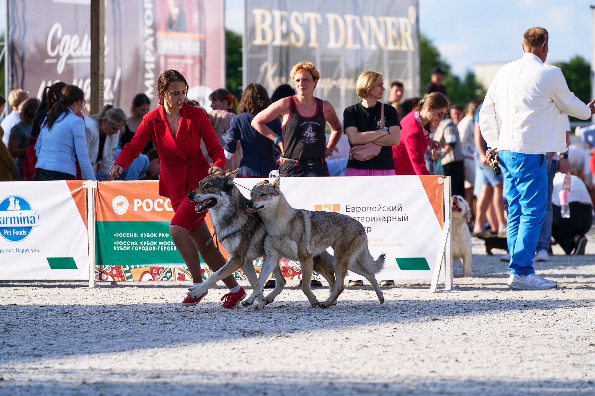 08.06.2024 «РОССИЯ. КУБОК РКФ 2024»