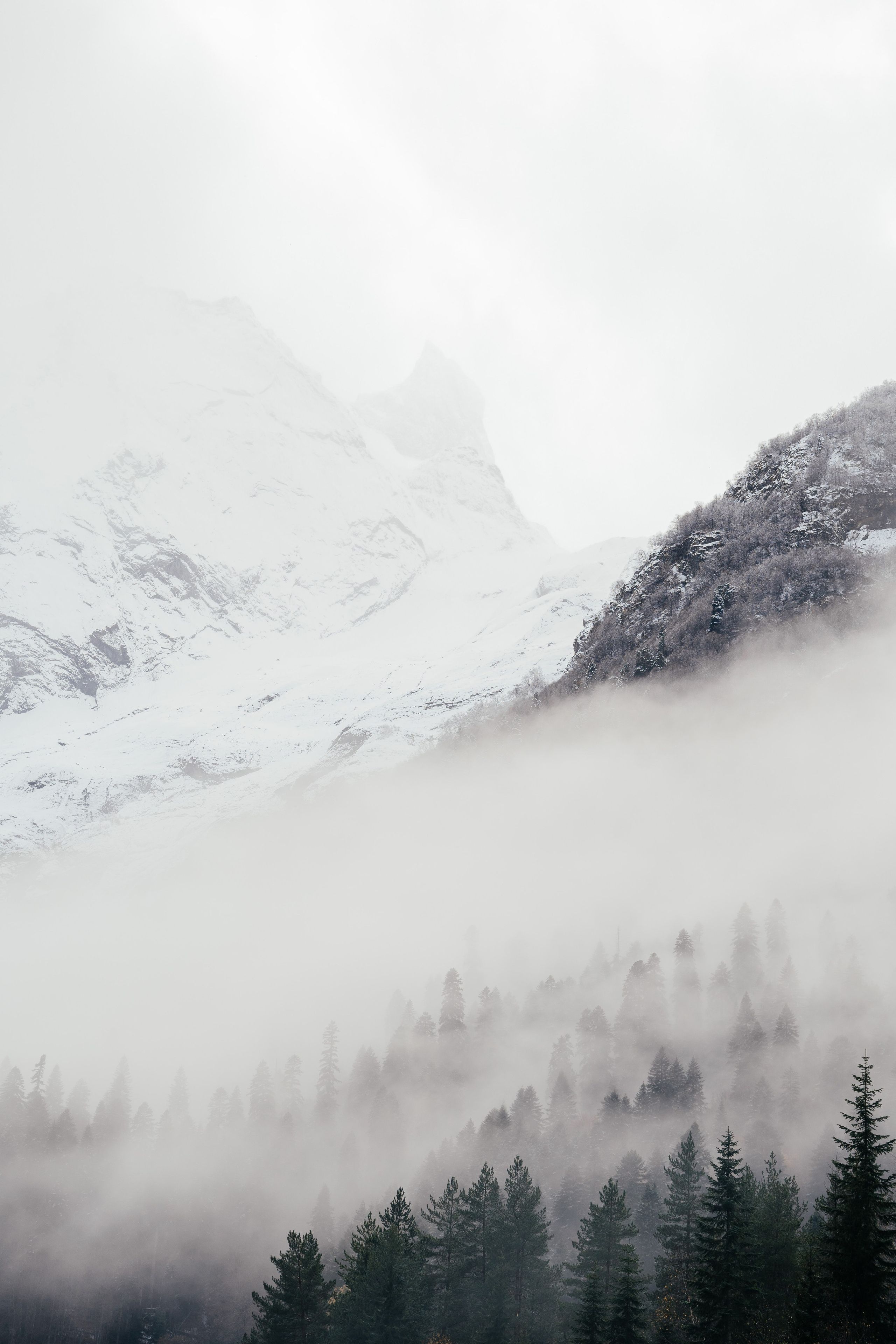 Фотограф Диана Семенова