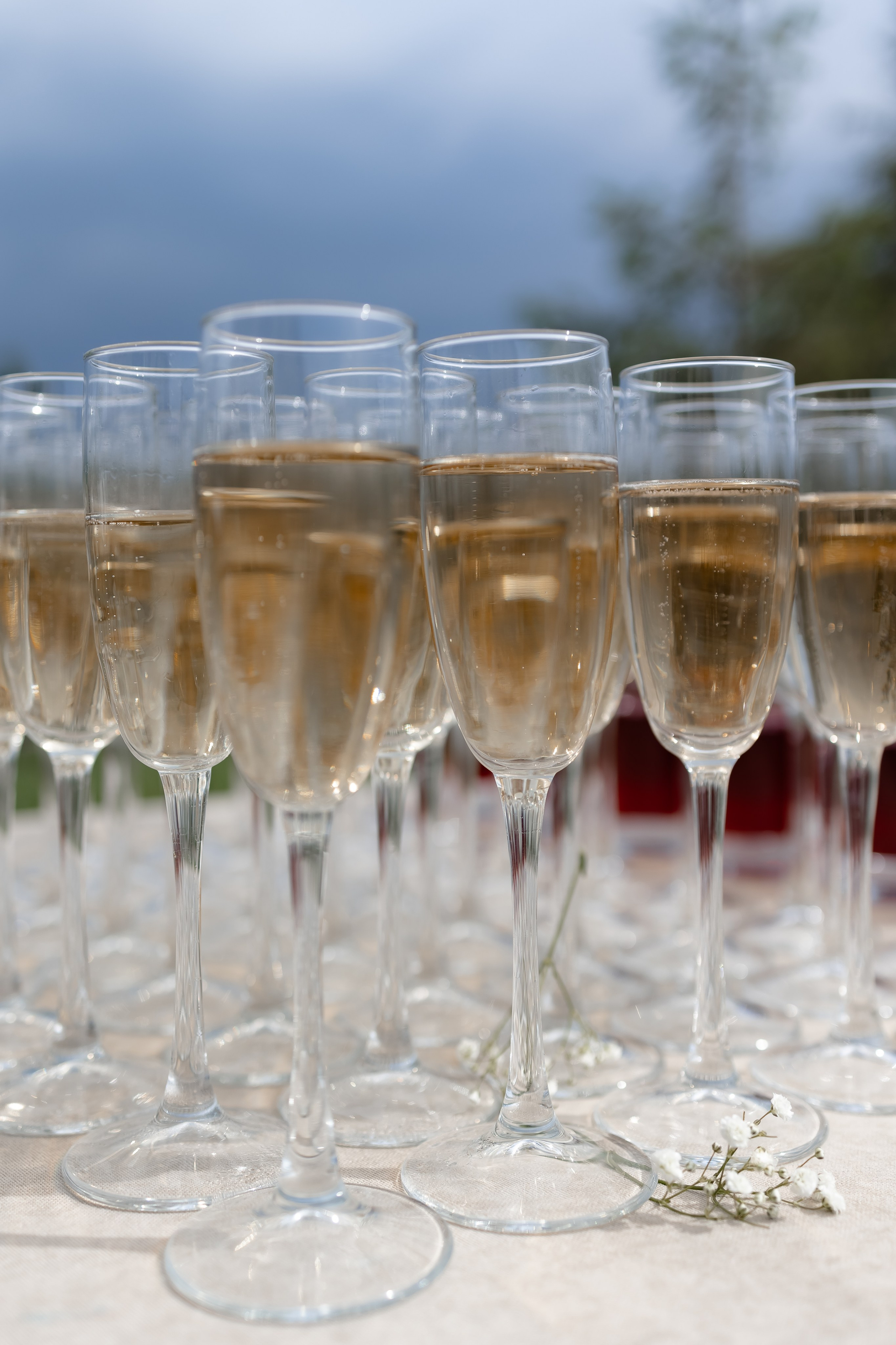 Валерия и Евгений. Свадебный и семейный фотограф в Челябинске. Аврамец Анна