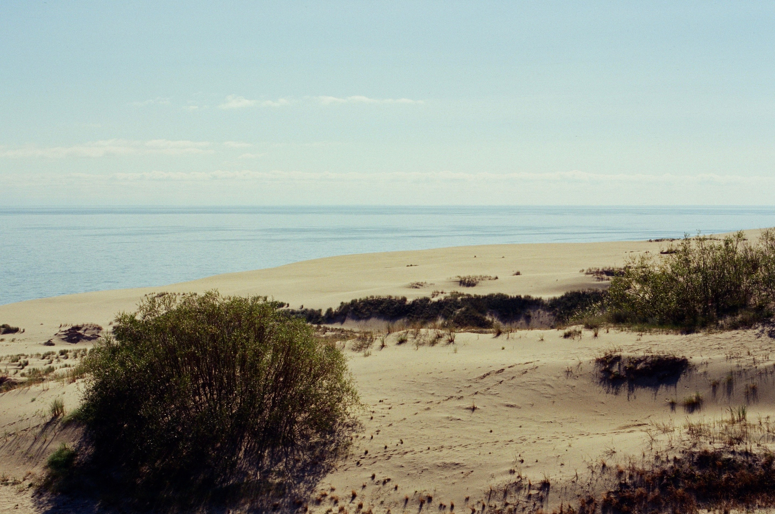 Плёнка🎞️. Фотограф в Москве Ксюшенька
