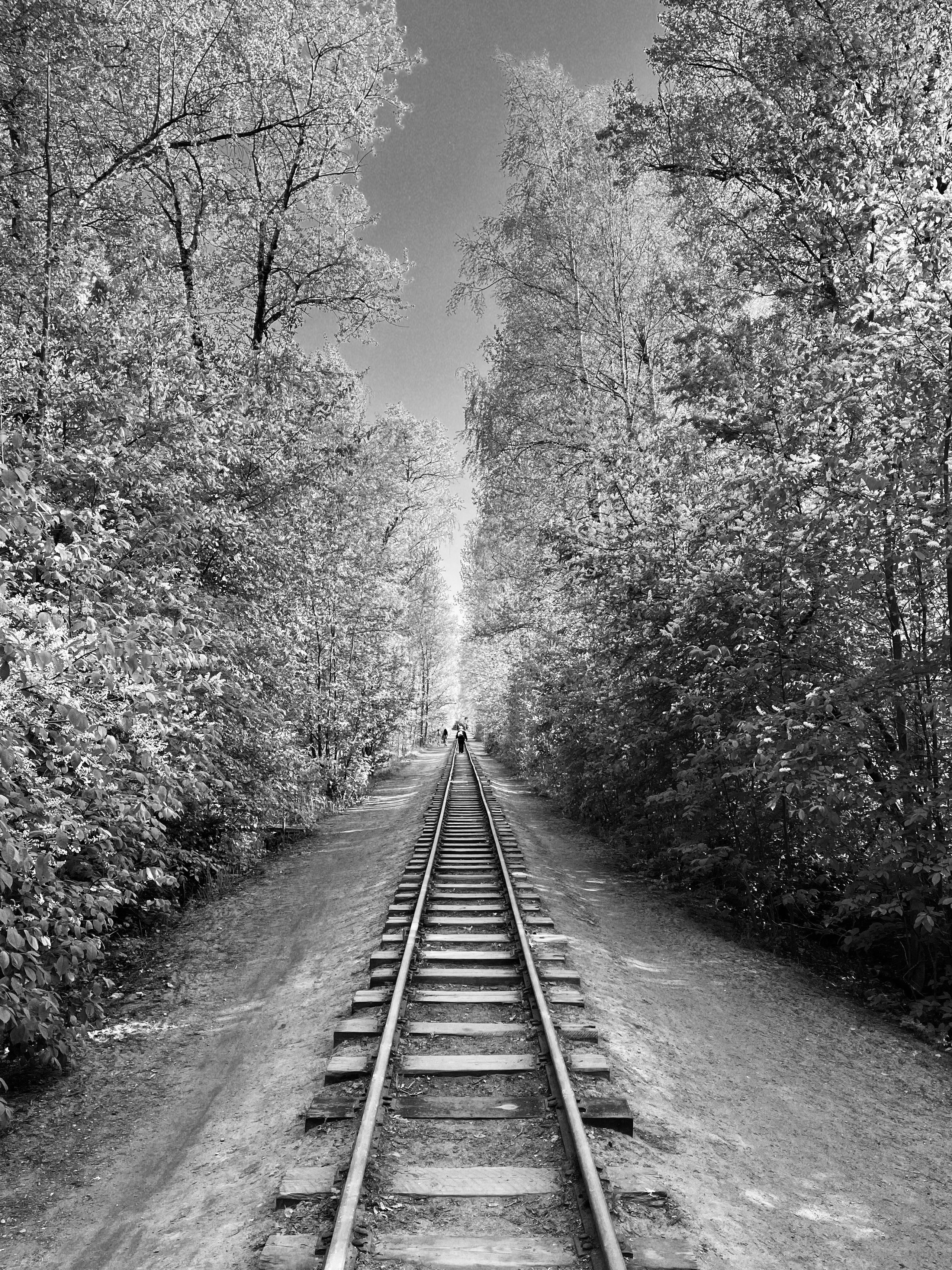 Свет. Фотограф — Маслеников Константин