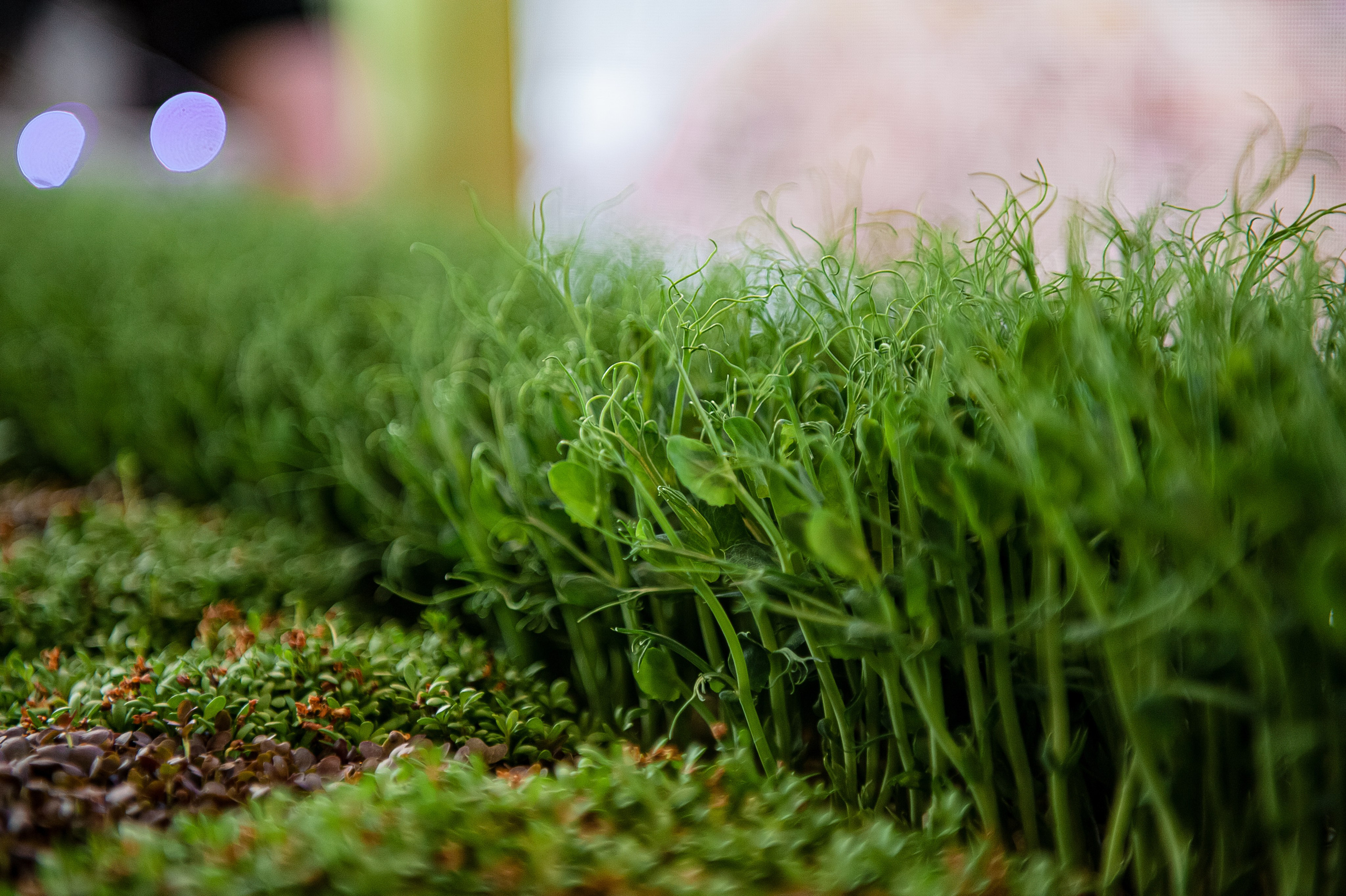 СИТНО ЭКСПО. Фотограф Антон Малыхин