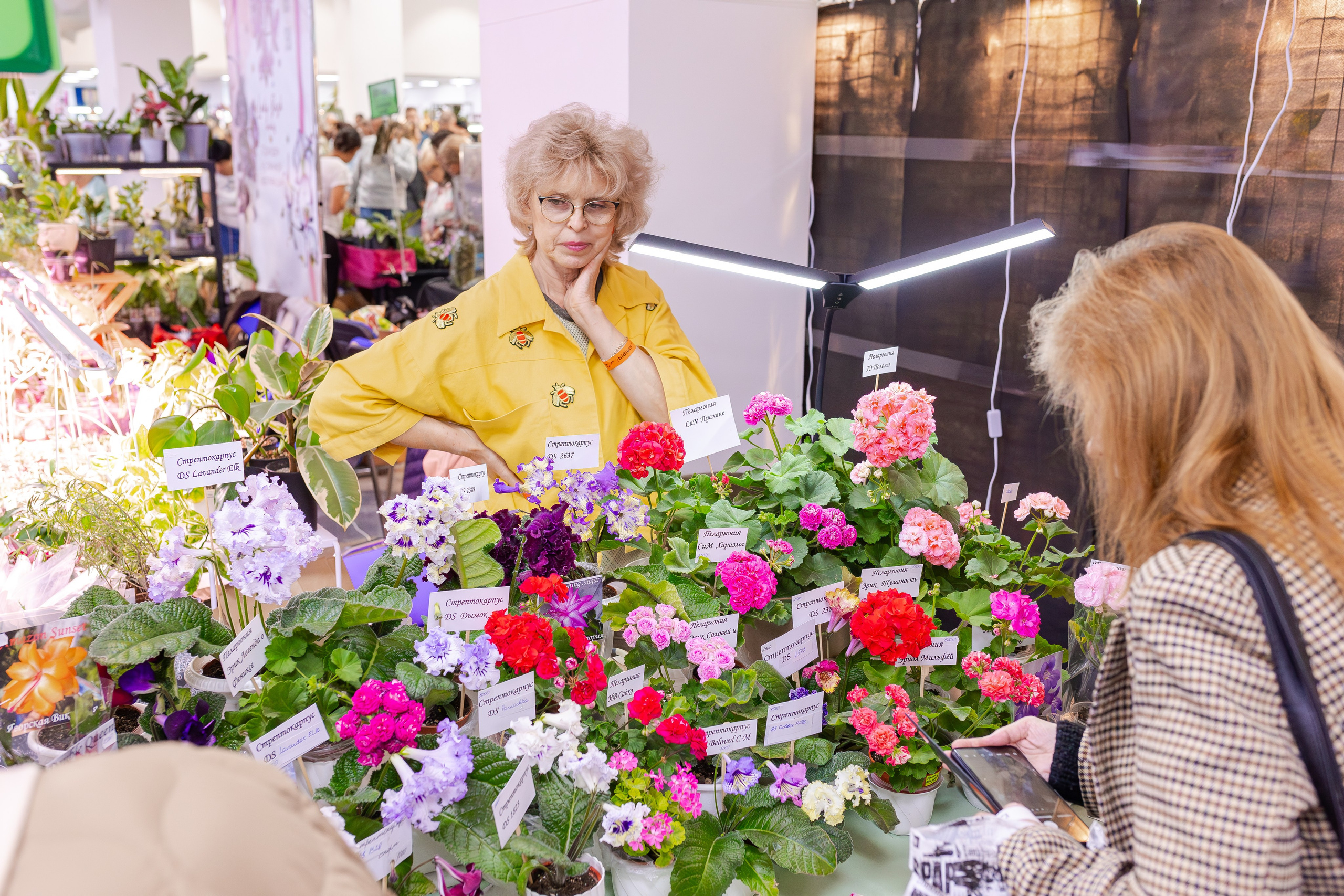 Орхидиум сентябрь 2025. Александра Куликова фотограф, Москва