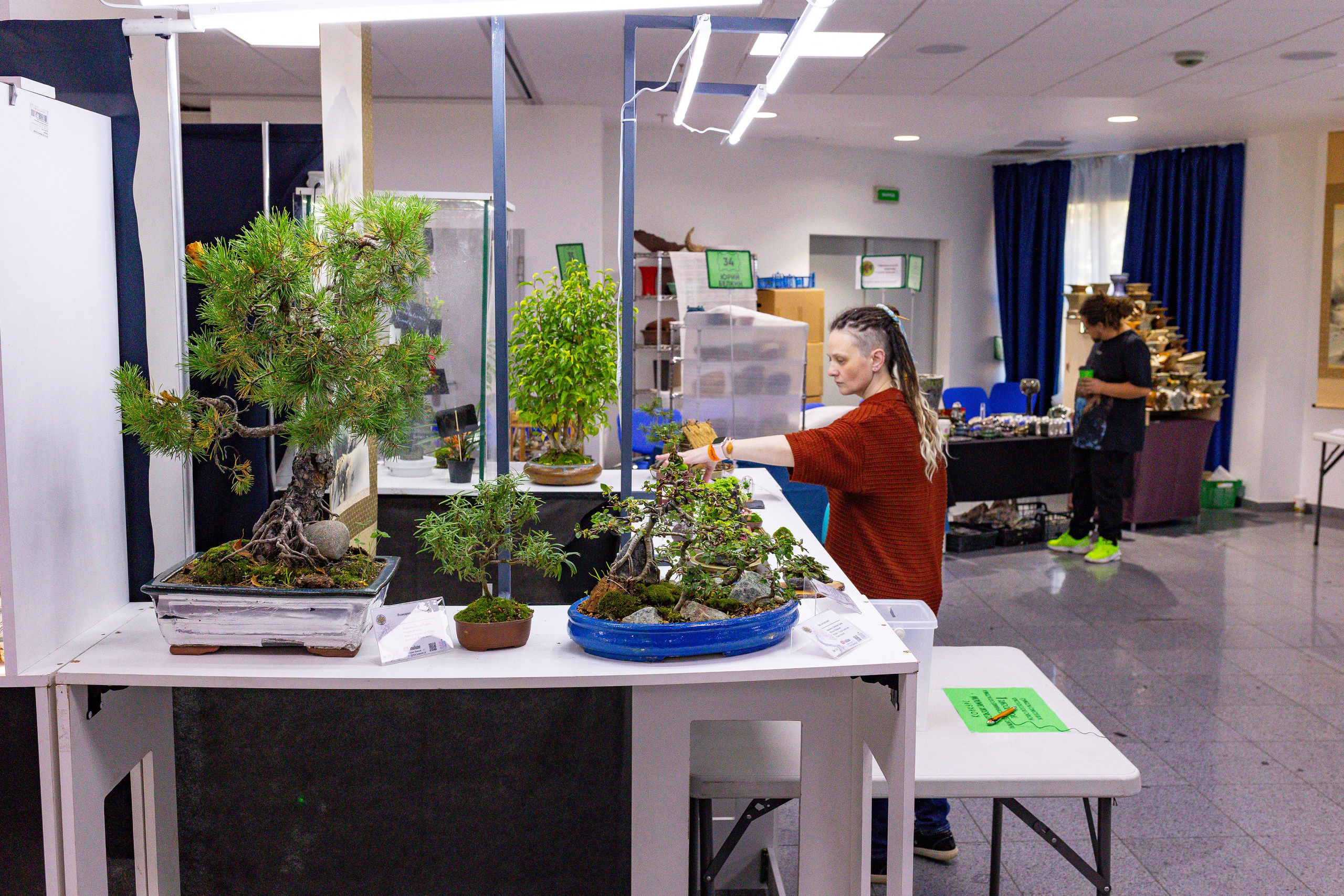 Орхидиум сентябрь 2025. Александра Куликова фотограф, Москва