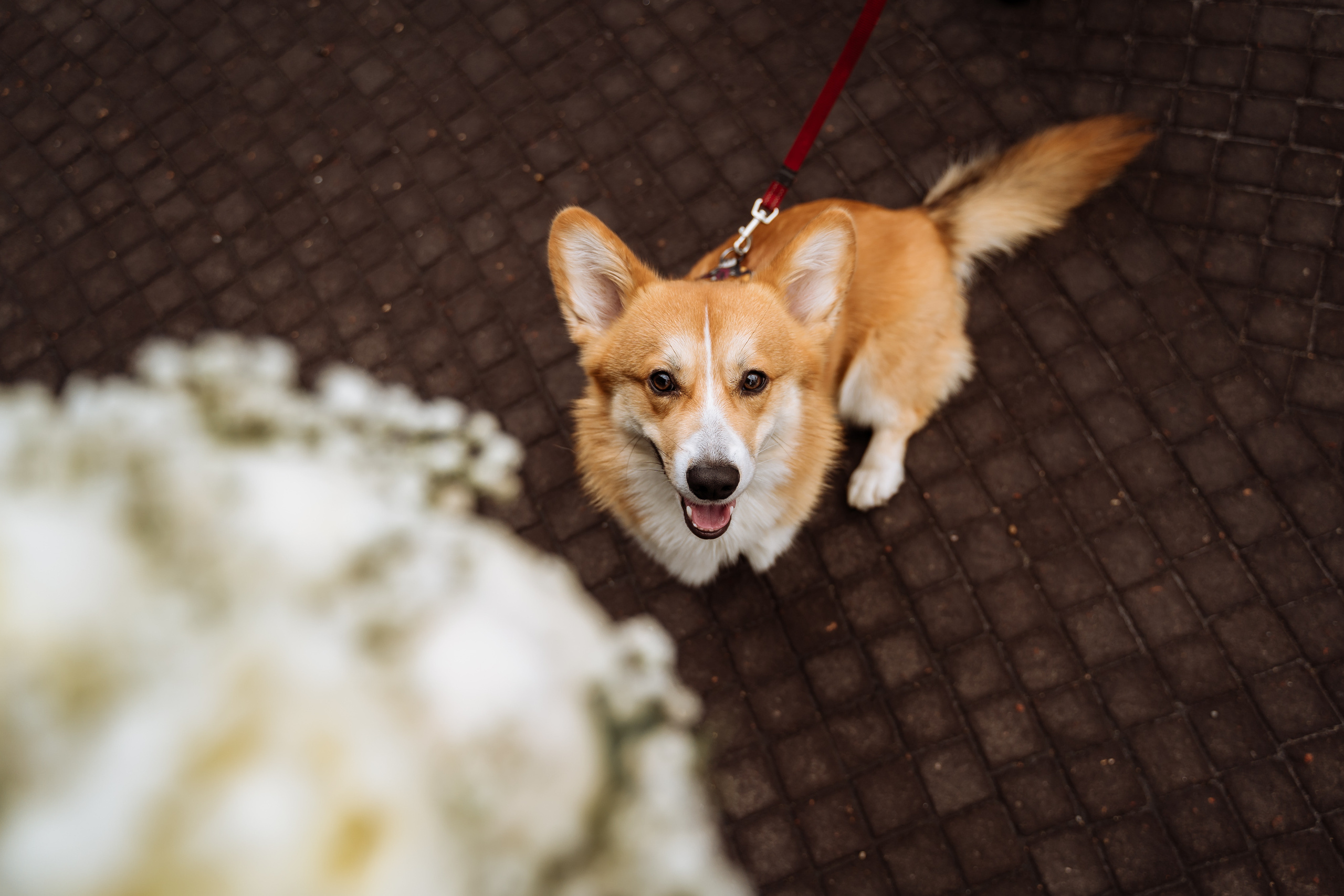 Свадьба Инны и Вовы. Свадебный фотограф в Москве Яна Деньгина