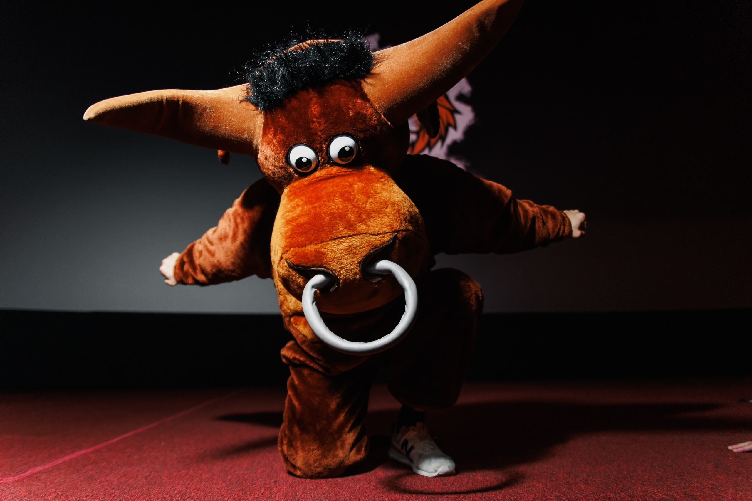 Закрытый показ Шоу. Репортажный фотограф. Москва. Алина Ланская