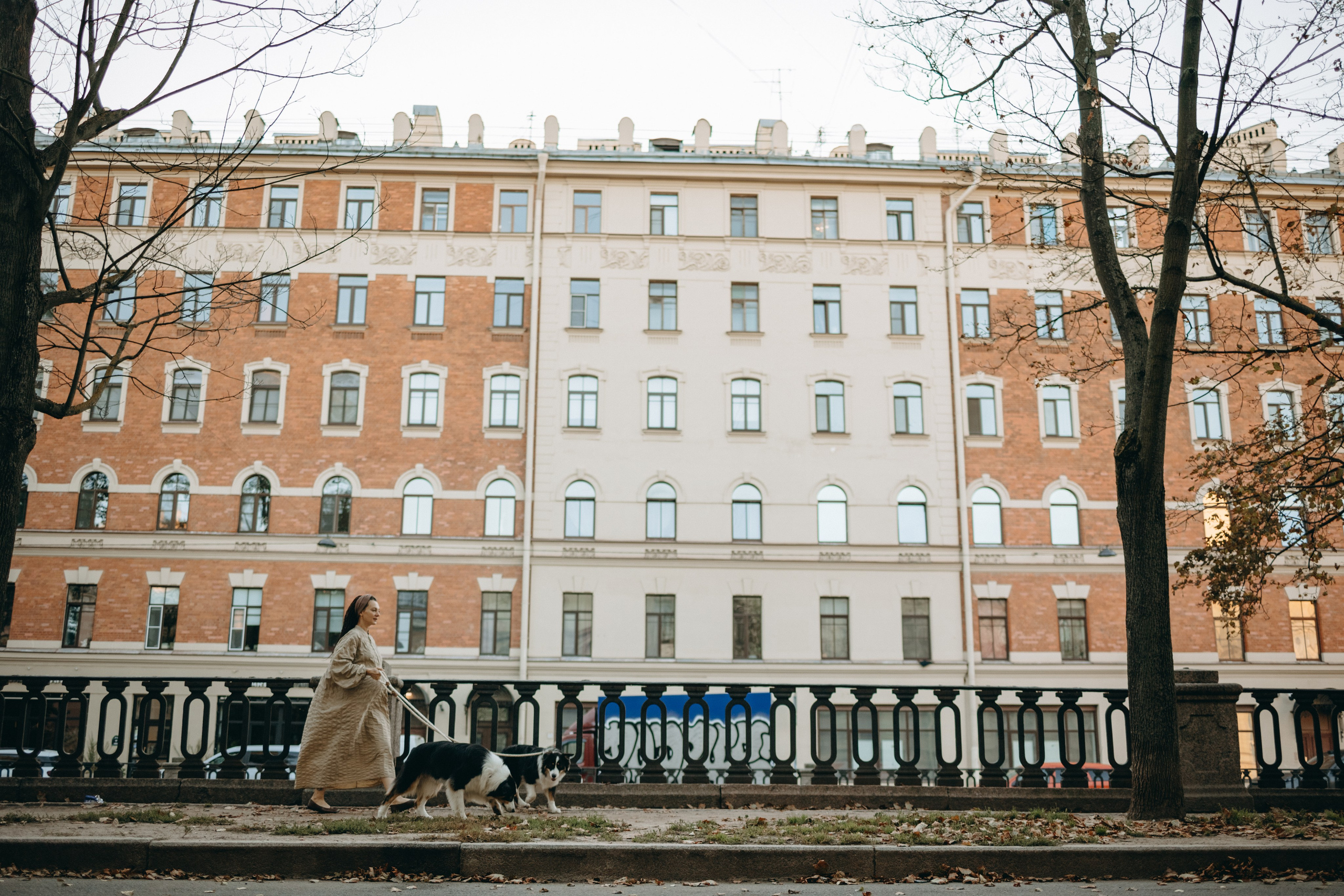 Катя и ее девочки. Фотограф — Анималист | Санкт-Петербург