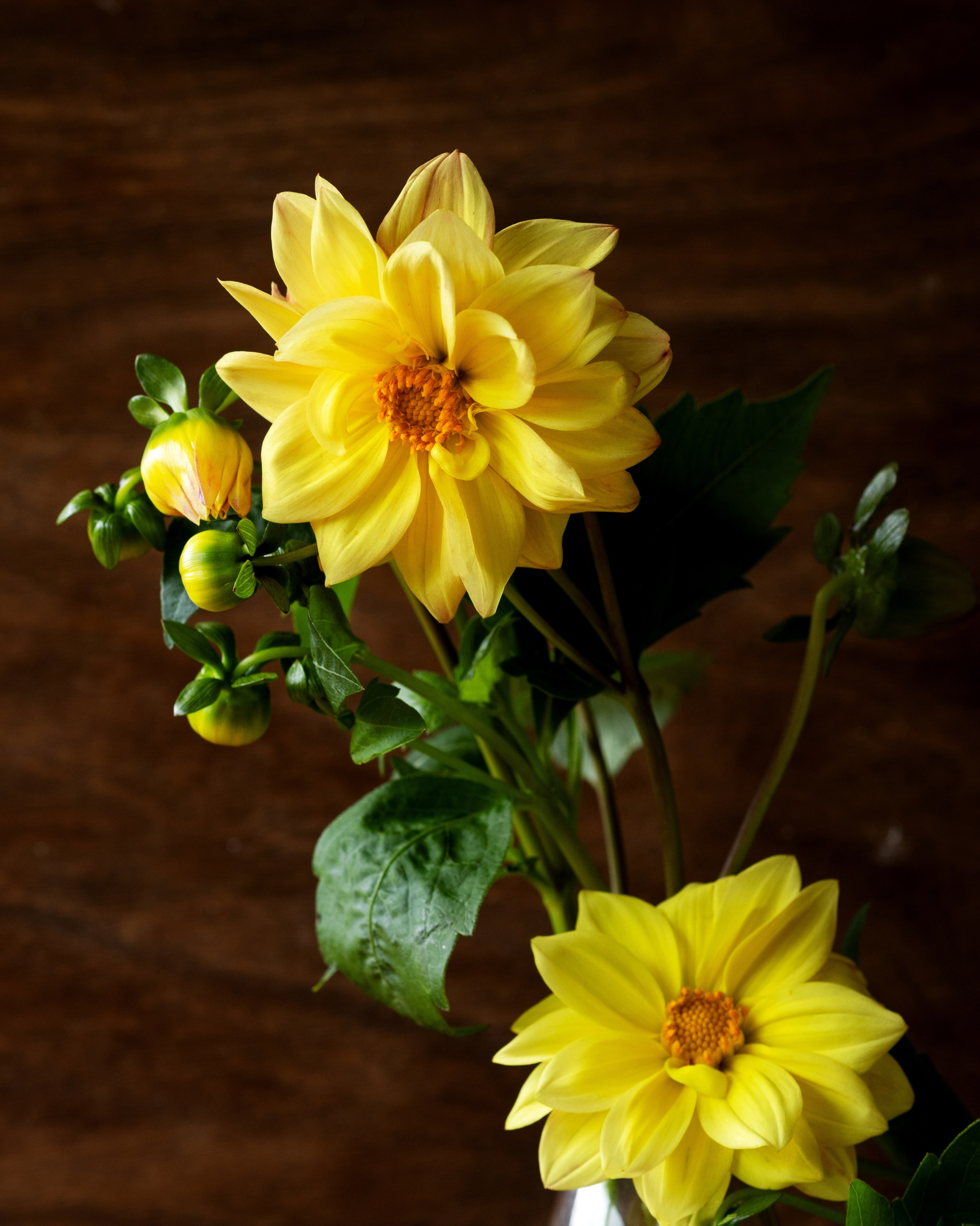 Summer Memory. Author’s fine art prints with international delivery