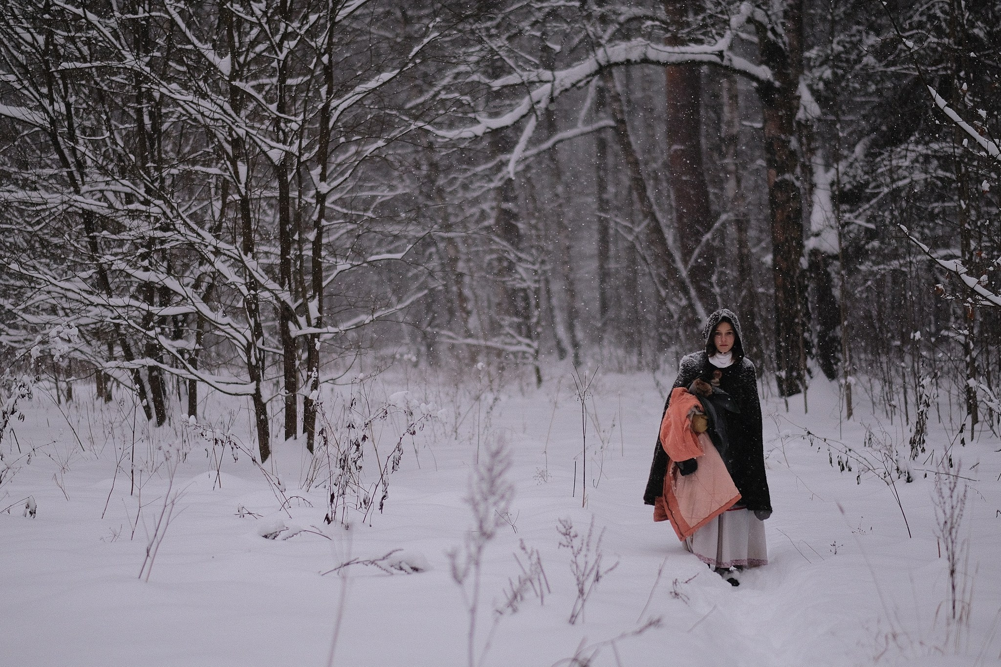 Герда, Лиса и их люди. Дмитрий Бречалов