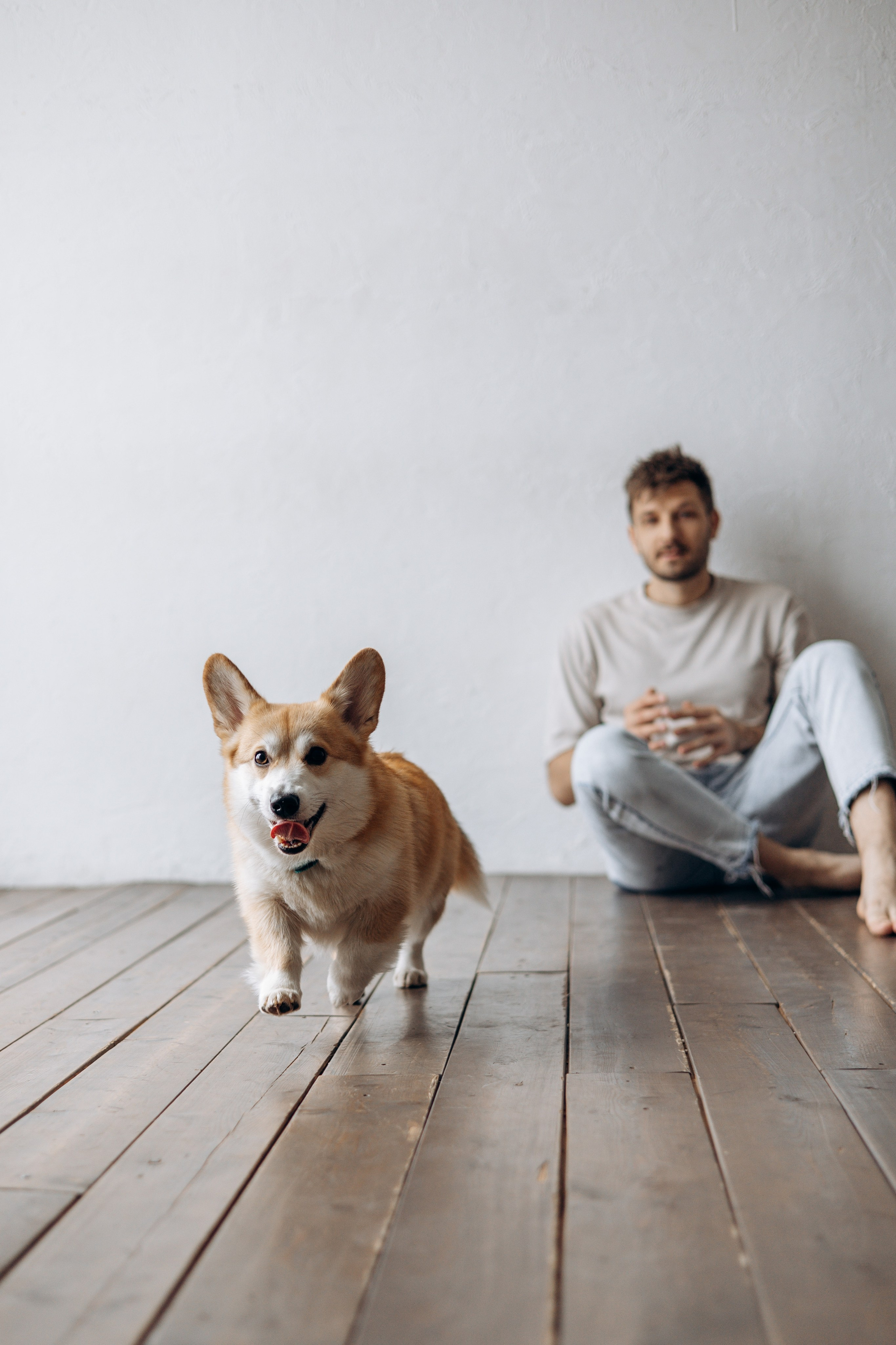 Ричи и его семья. Фотограф — Анималист | Санкт-Петербург