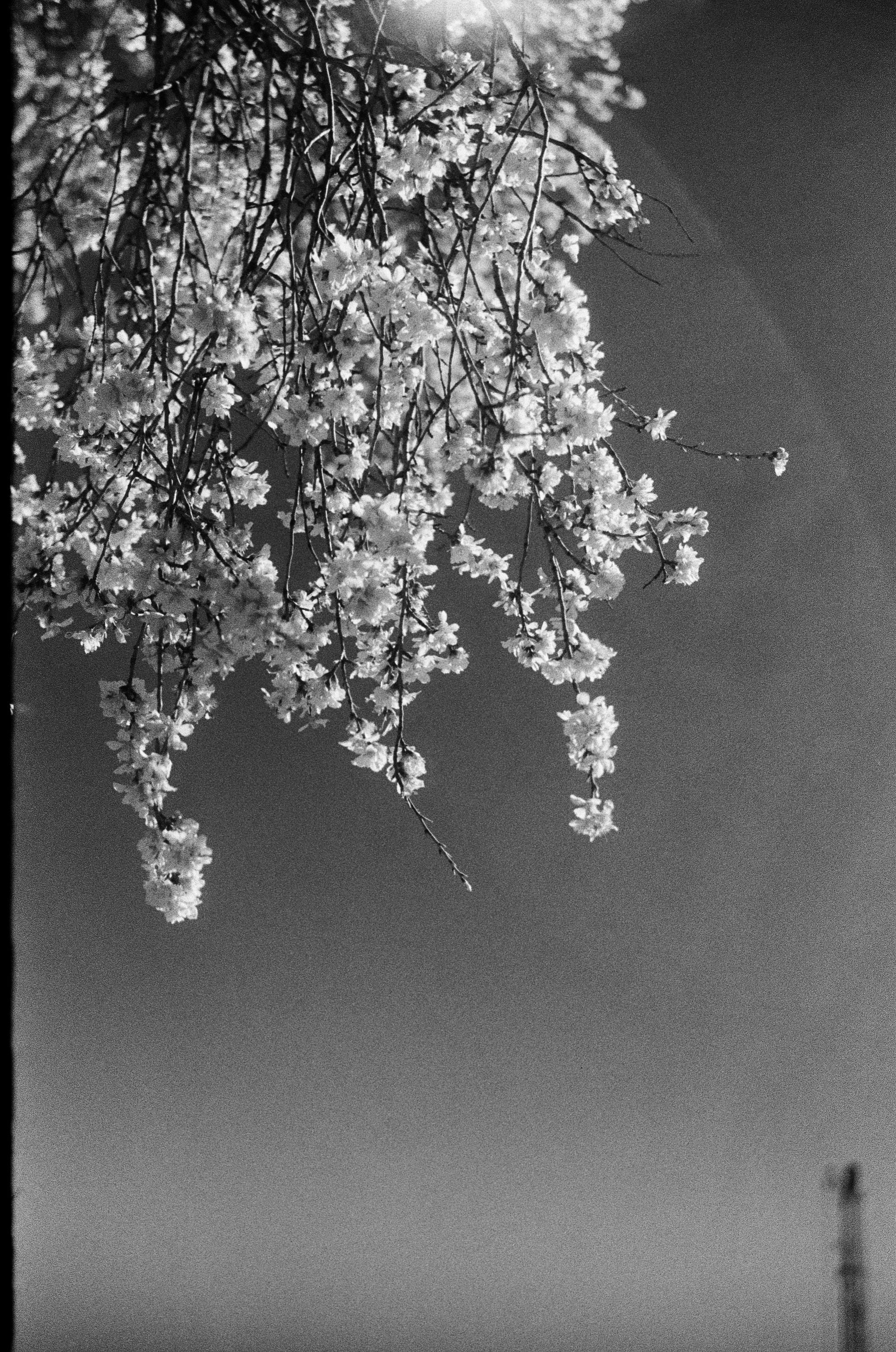 Test Film. Dmitriy [KCCC] is a pretty cool photographer