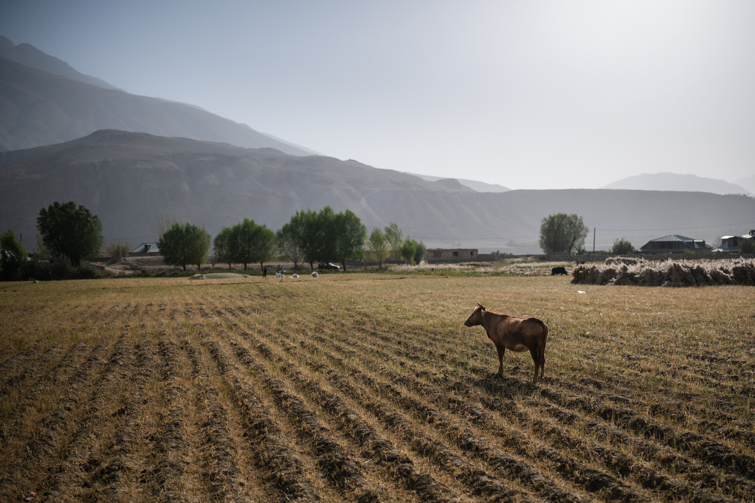Таджикистан. Памир. Репортажный, спортивный и документальный фотограф в Ташкенте Алексей Елисеев