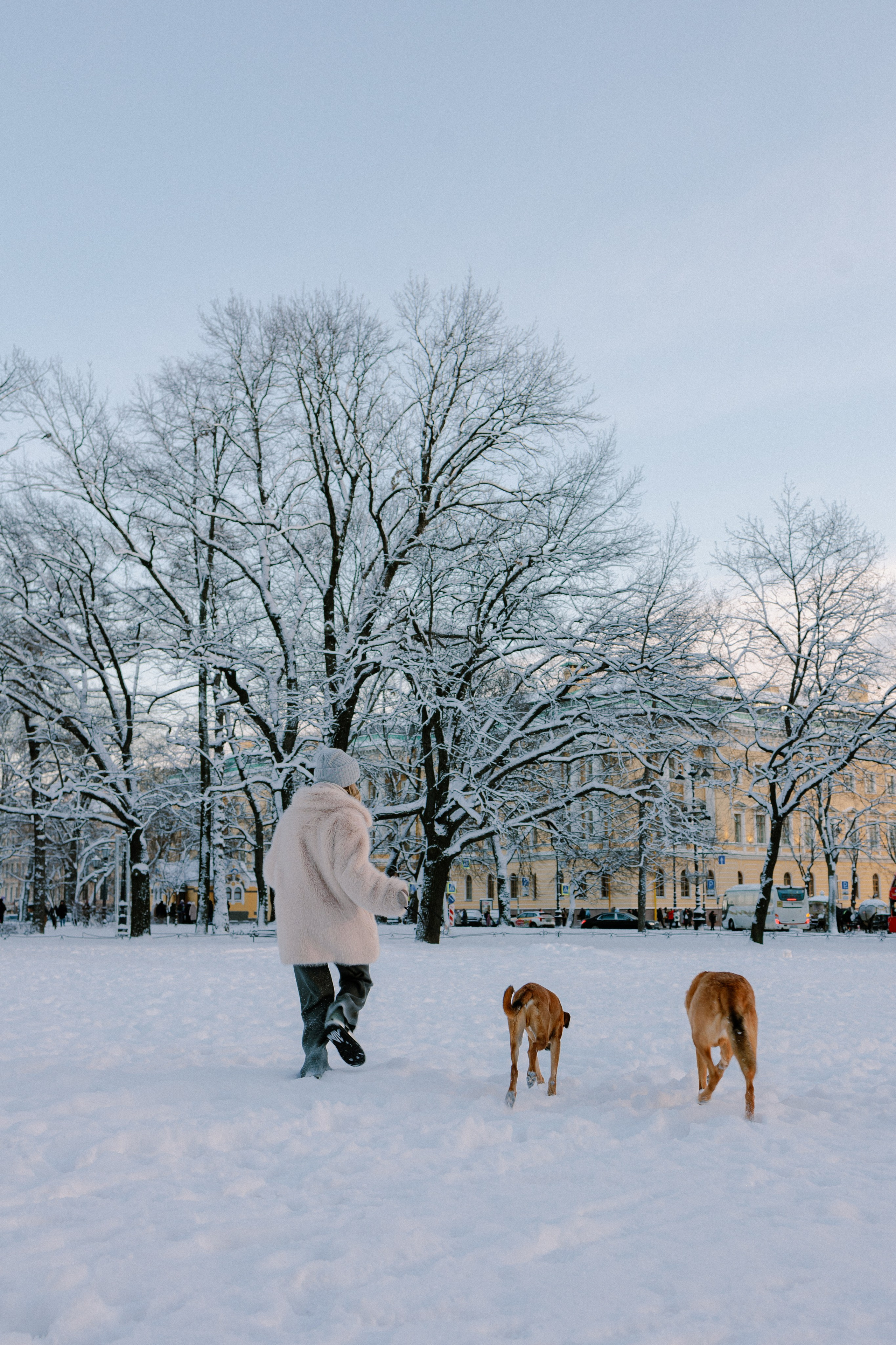 Лора и Бони в СПб. Фотограф в Санкт-Петербурге Алёна Губинская
