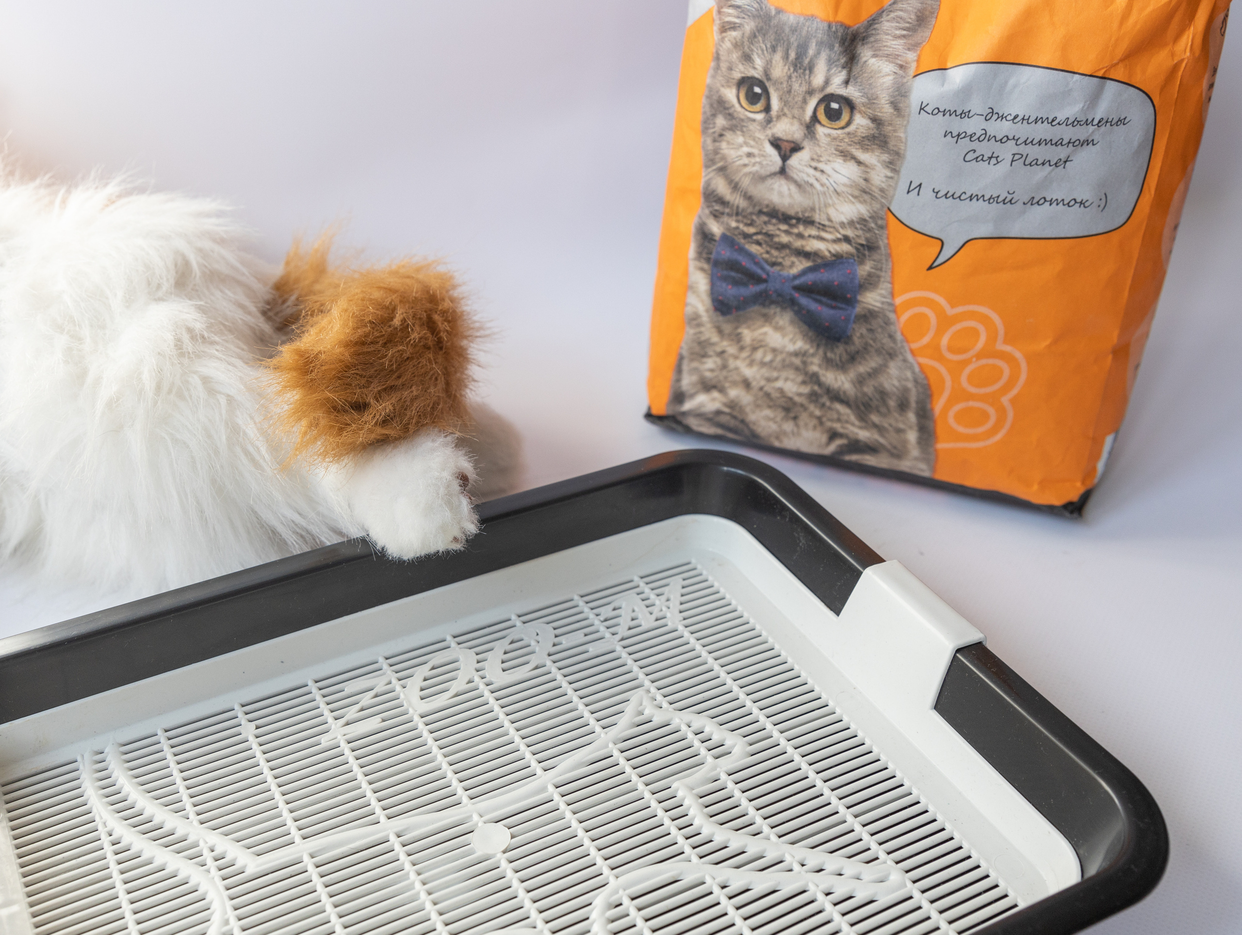 Наполнитель для кошачьего туалета. Репортажный фотограф в Новосибирске Алена Помазунова