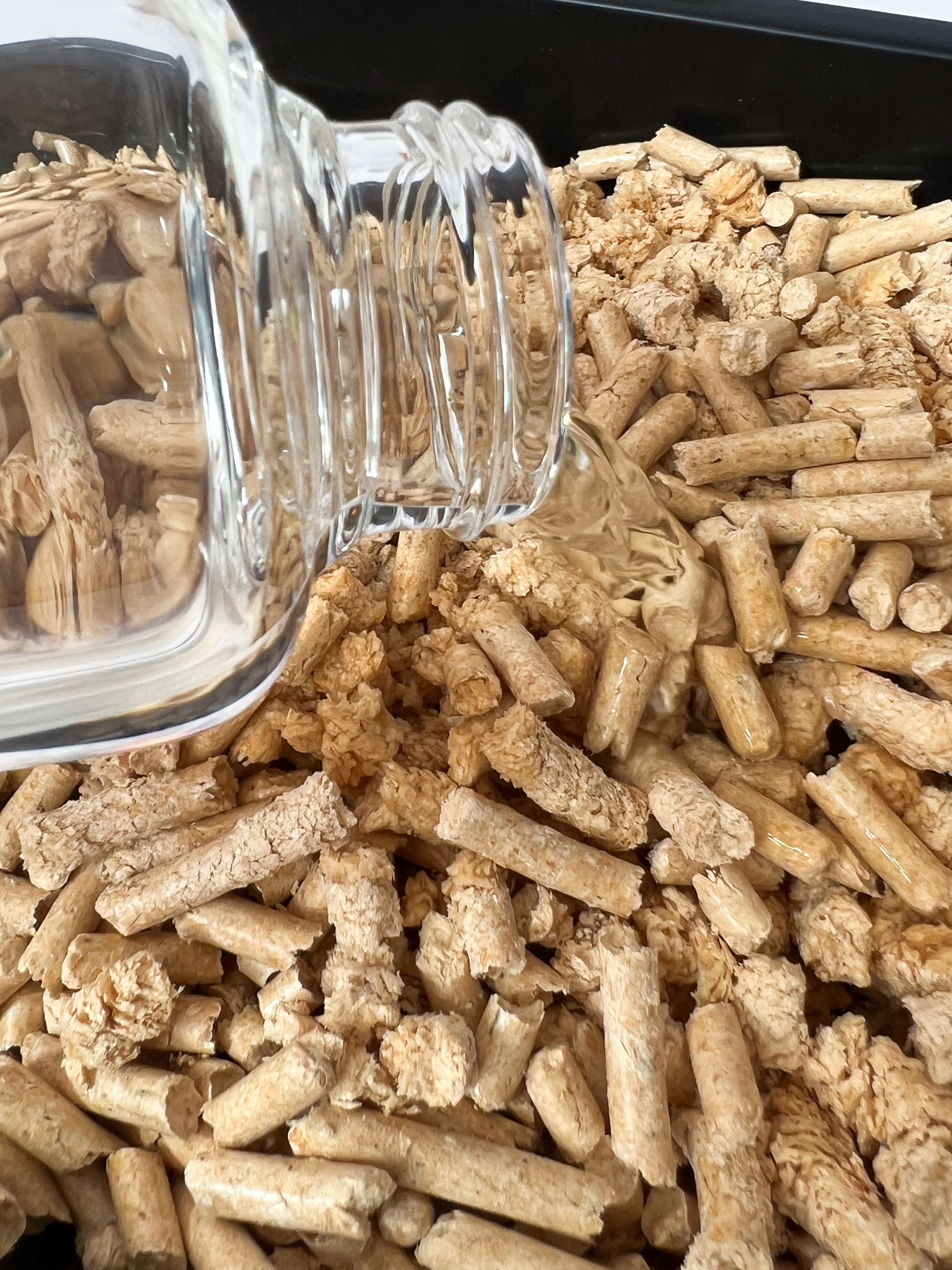 Наполнитель для кошачьего туалета. Репортажный фотограф в Новосибирске Алена Помазунова