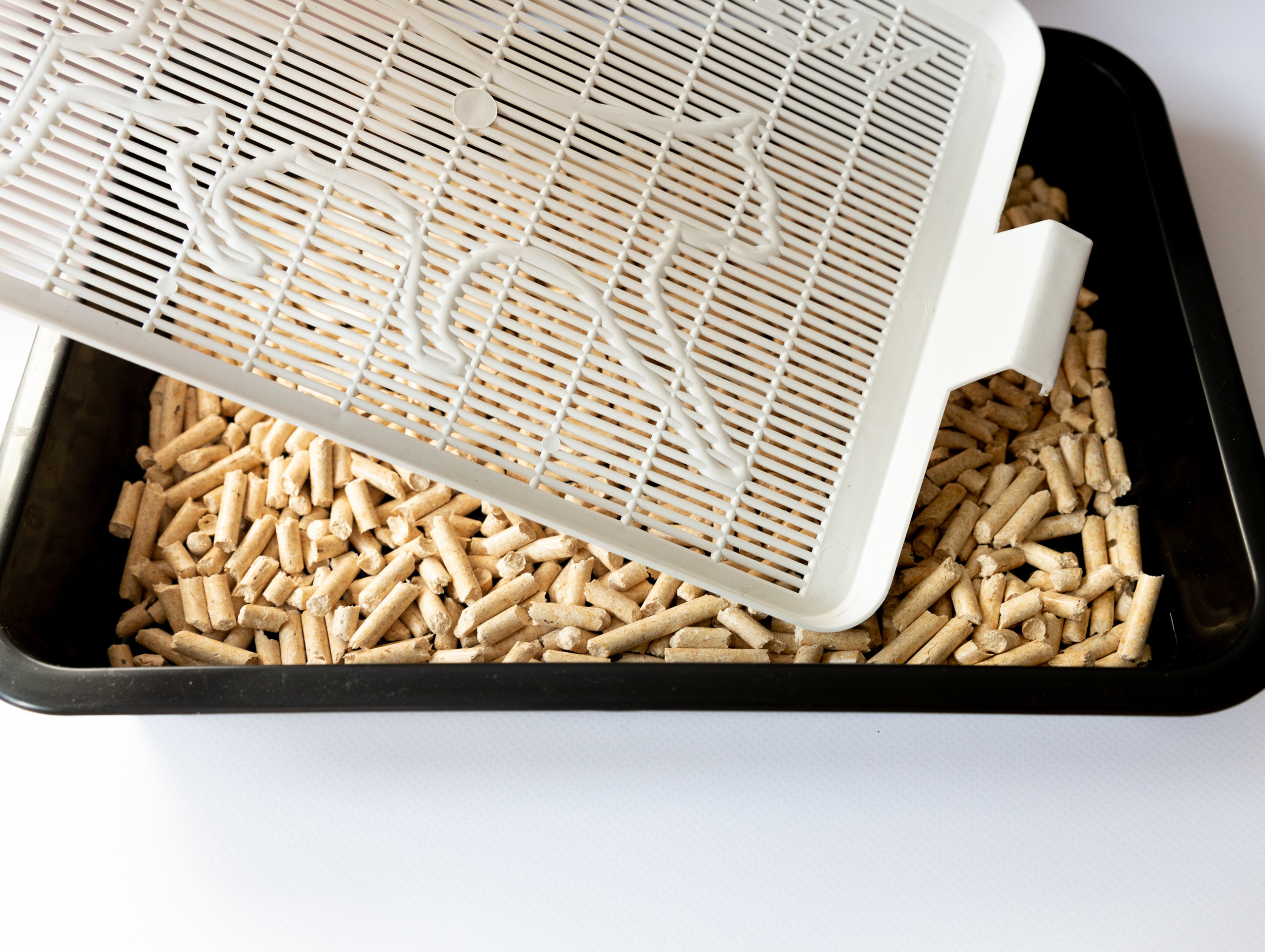 Наполнитель для кошачьего туалета. Репортажный фотограф в Новосибирске Алена Помазунова