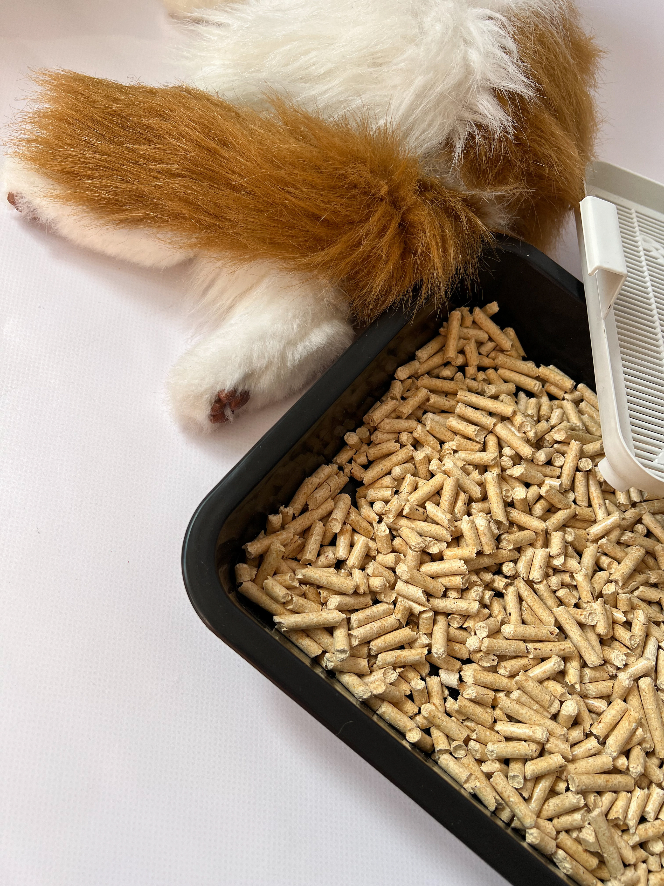 Наполнитель для кошачьего туалета. Репортажный фотограф в Новосибирске Алена Помазунова