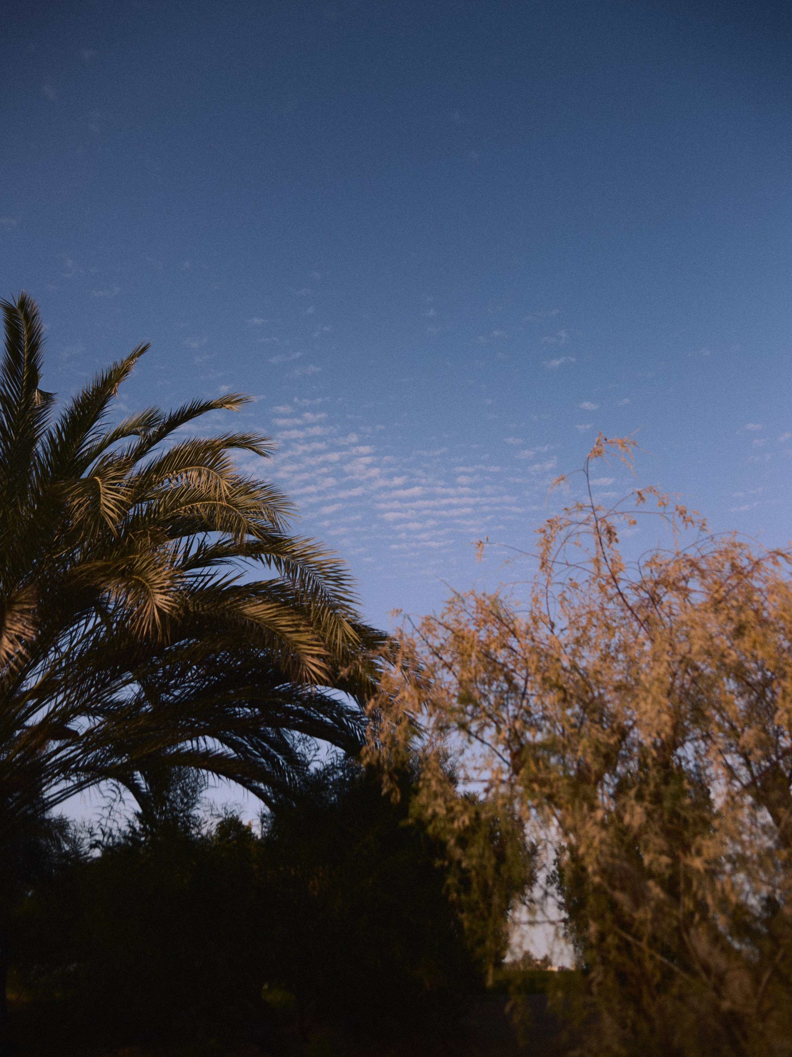 Природа. Jorgis Talè — photographer, kind person, teacher of arts and other mag