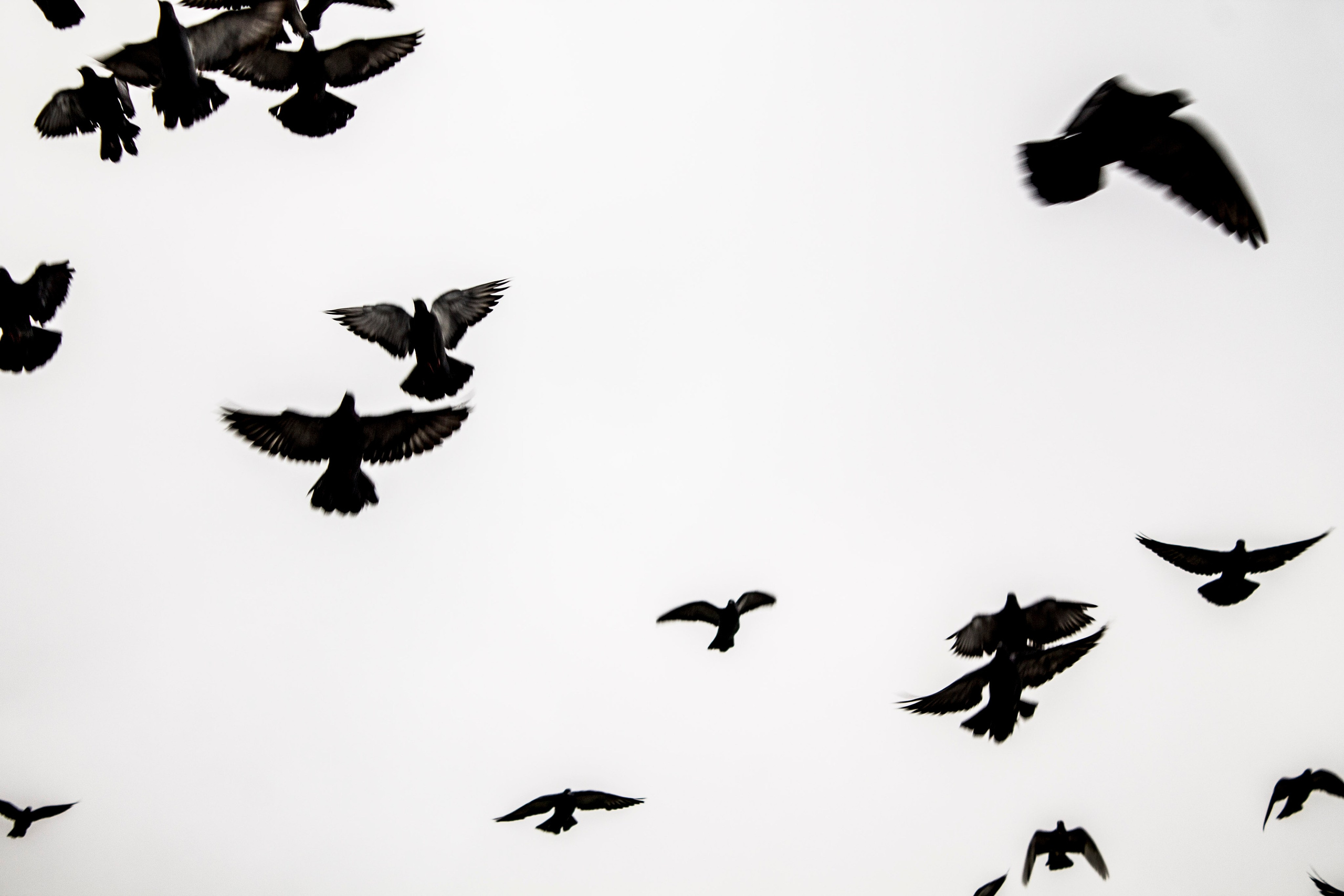 Мои первые работы. Фотограф из Москвы — DASHA NOVA | Авторская фотография в разных жанрах