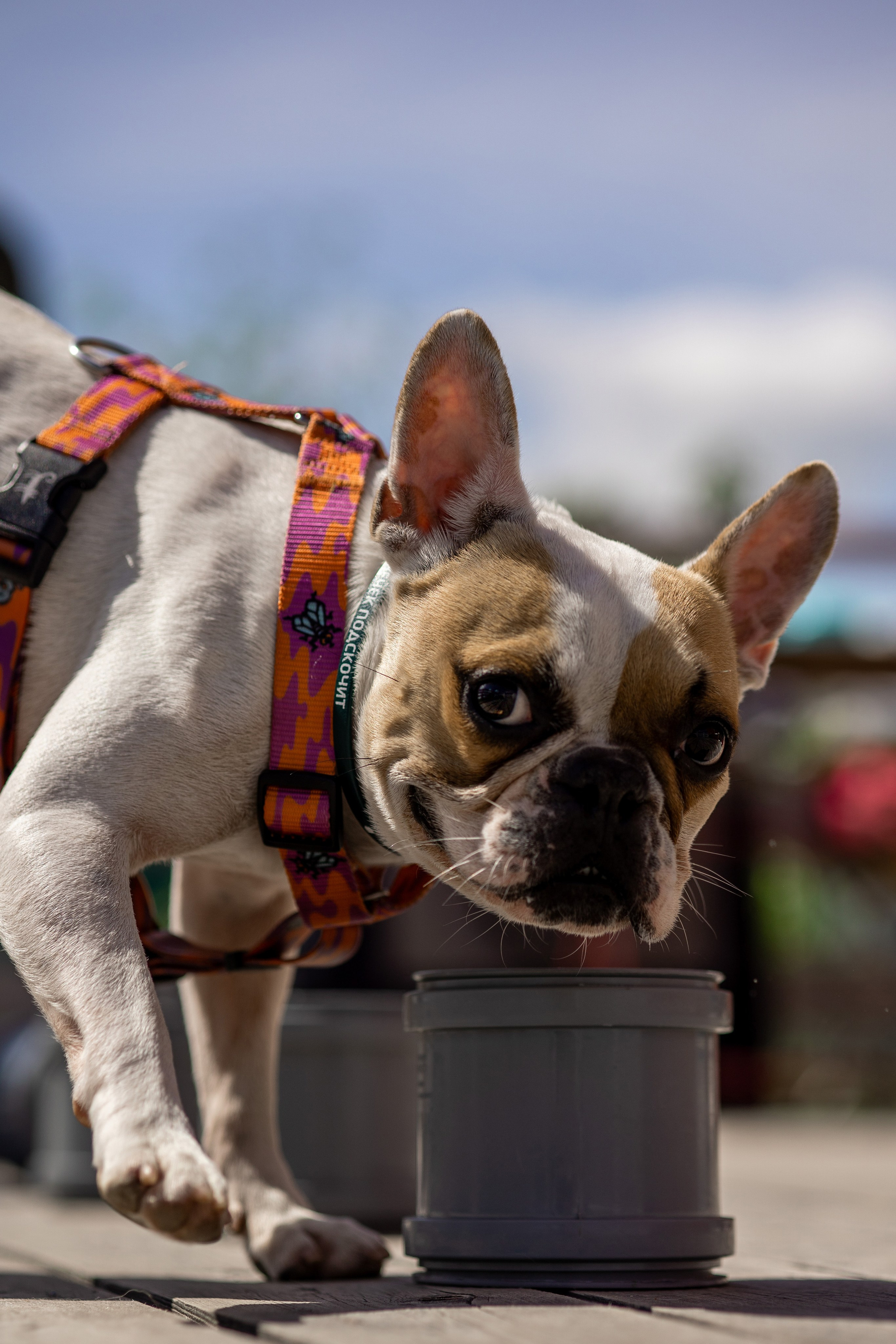Репортаж по Ноузворку. Анастасия Белаш