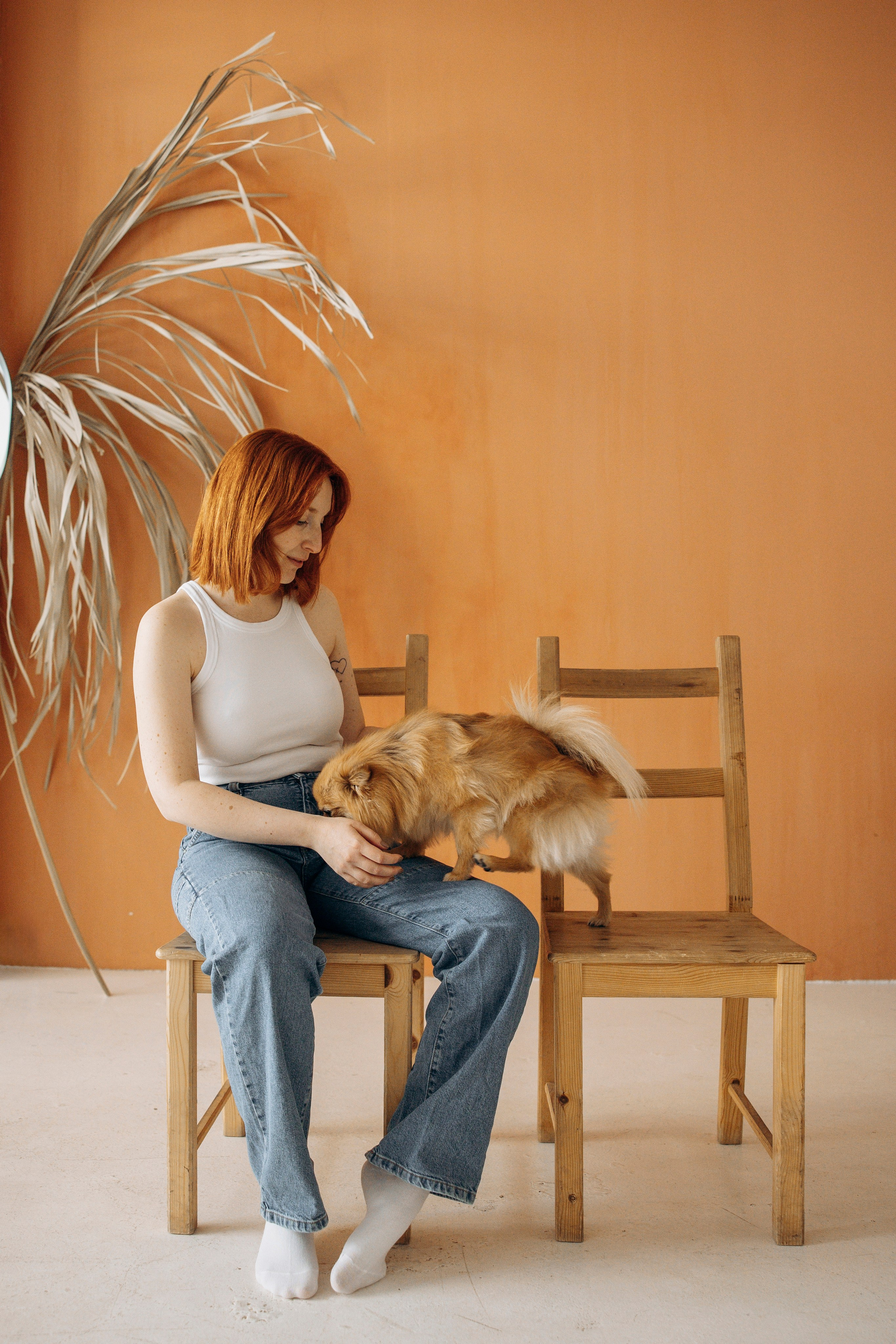 Съемка в студии с собакой. Анастасия Белаш