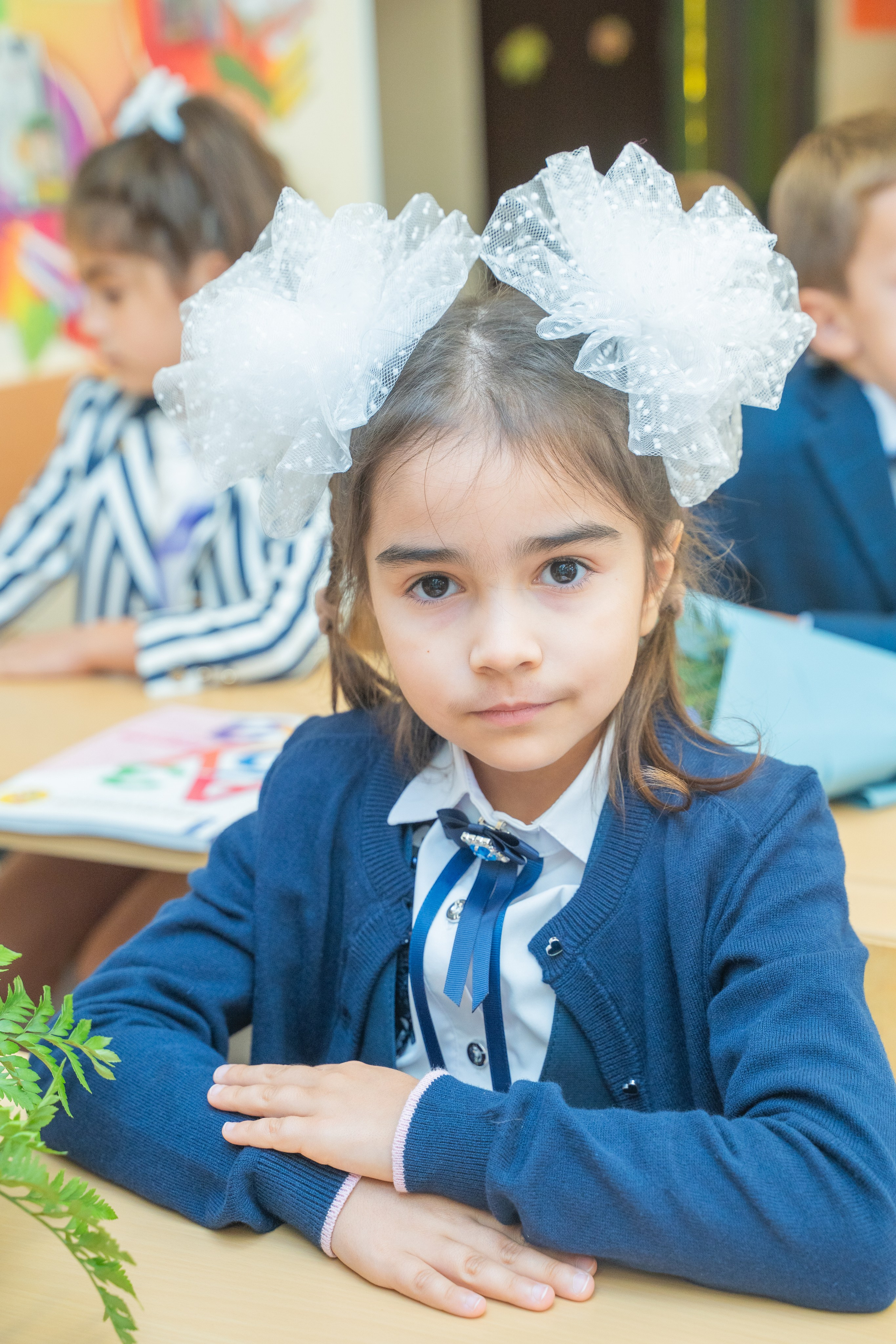 Линейка 1 сентября