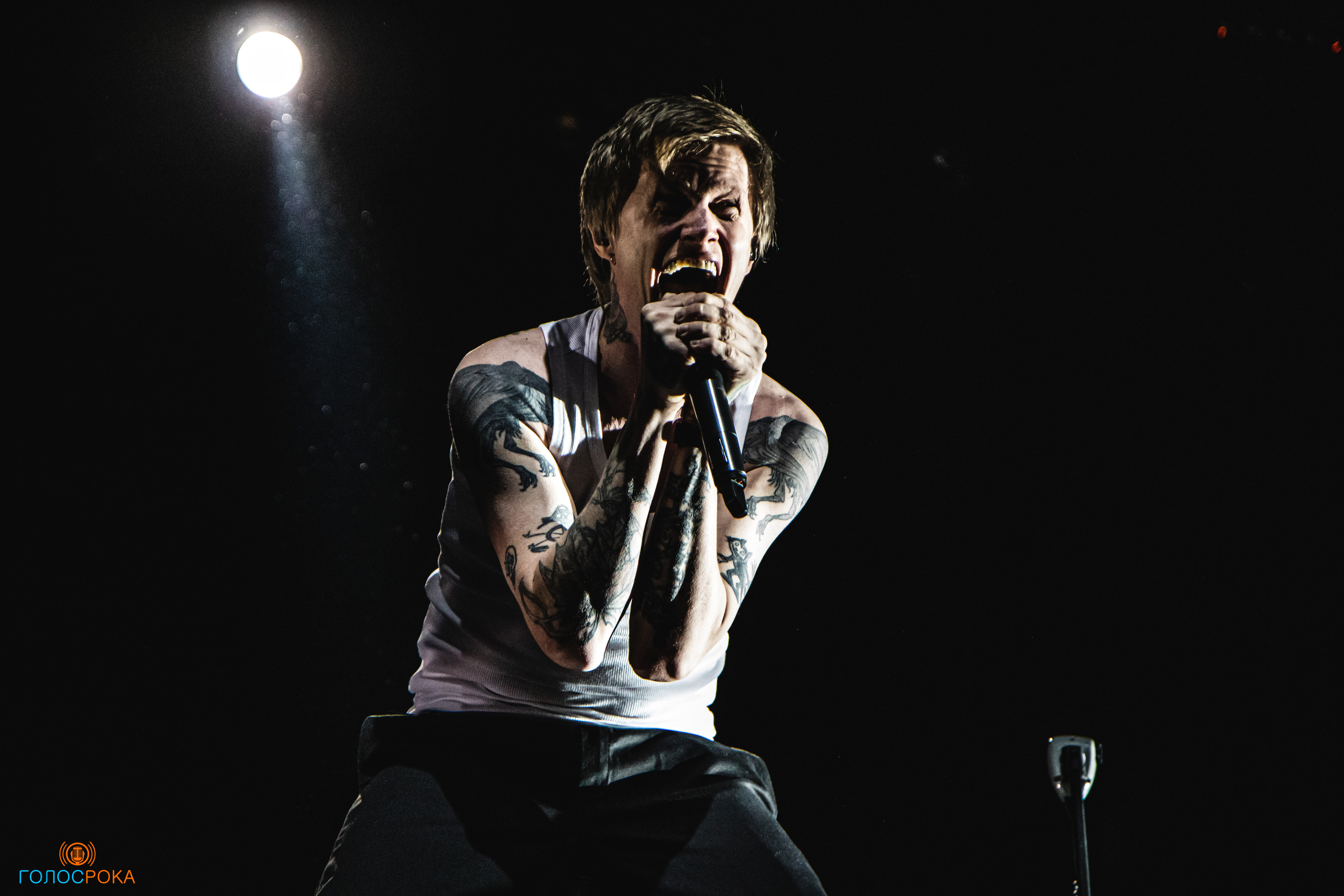 Dobrofest Winter Edition | VK Stadium. Концертный фотограф Михальченкова Алёна | Москва