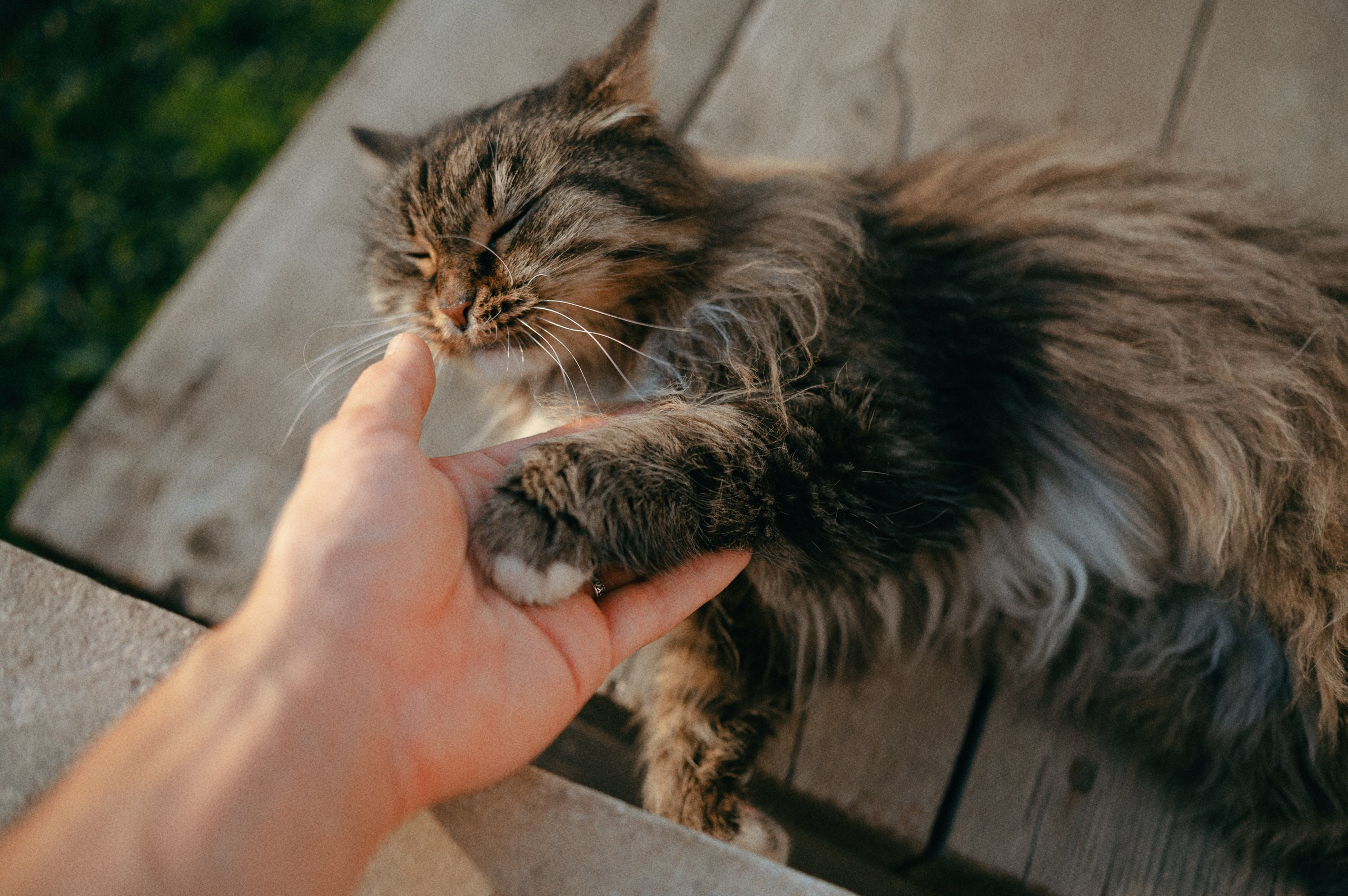 Невидимый спектр. Komonev