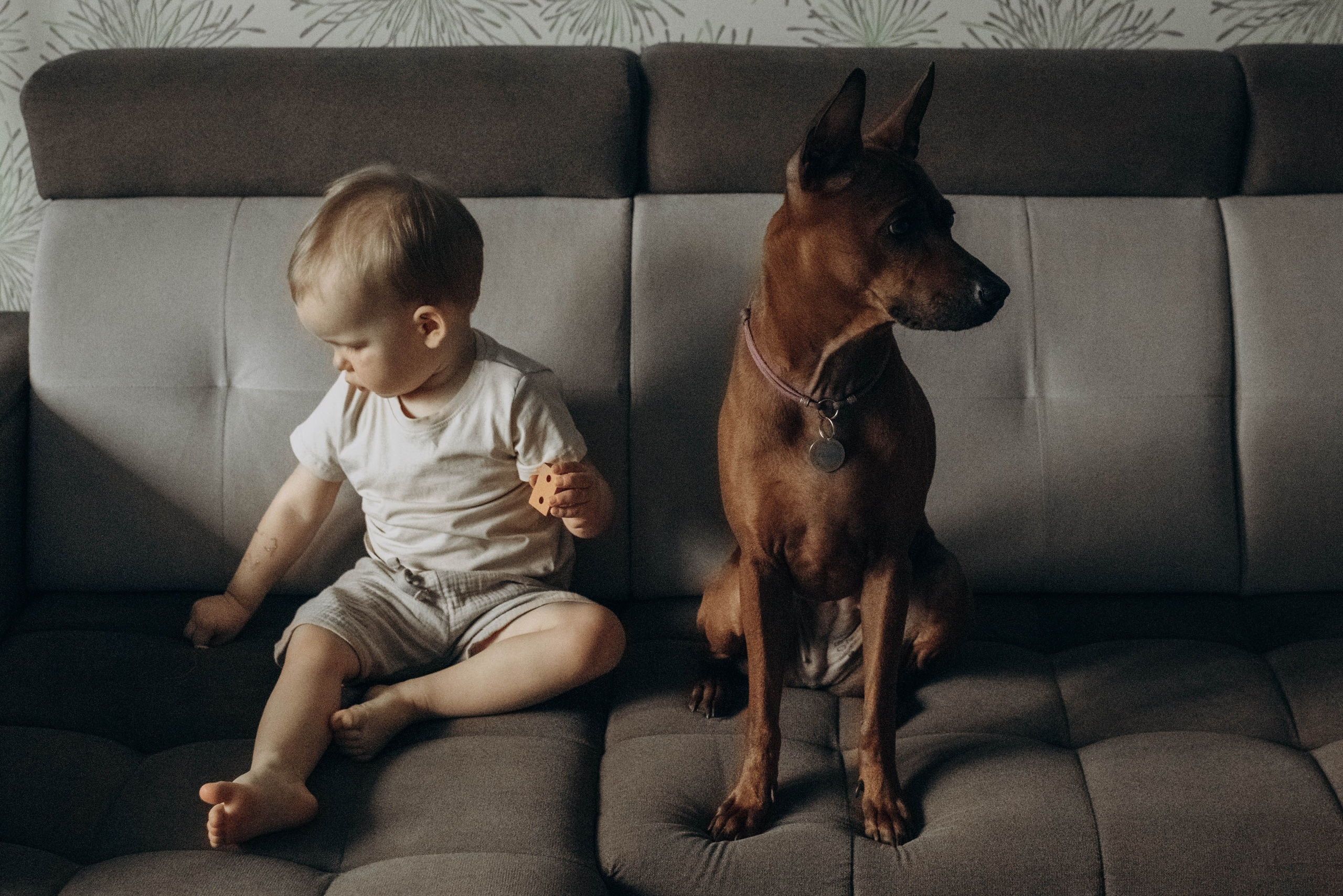 День рождения с лучшим другом. Семейный фотограф в Железнодорожном Масаева Елена