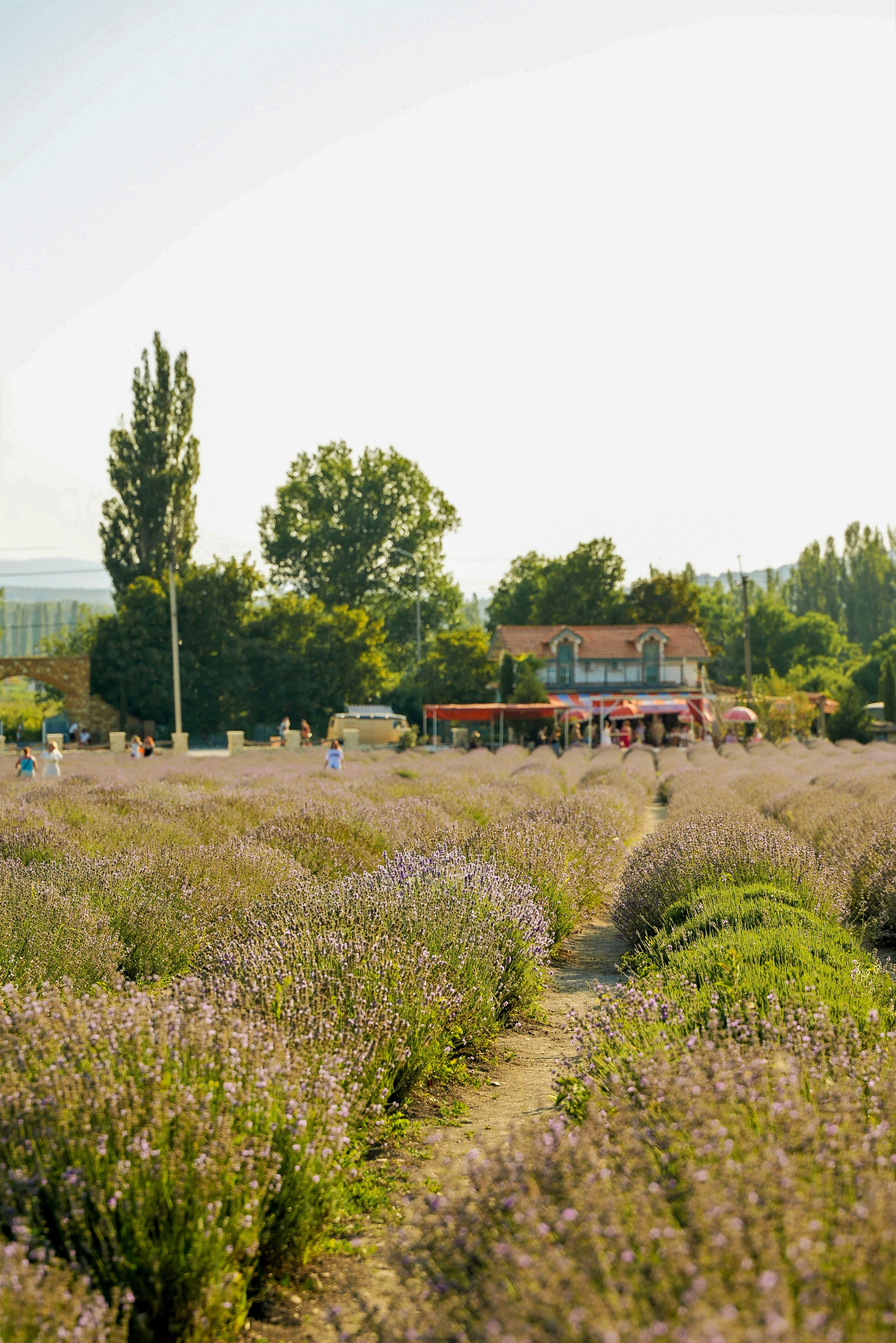 Семейная история в Maison Des Plantes. Фотограф Новороссийск | Геленджик и ЮФО Эльвина Ясинская