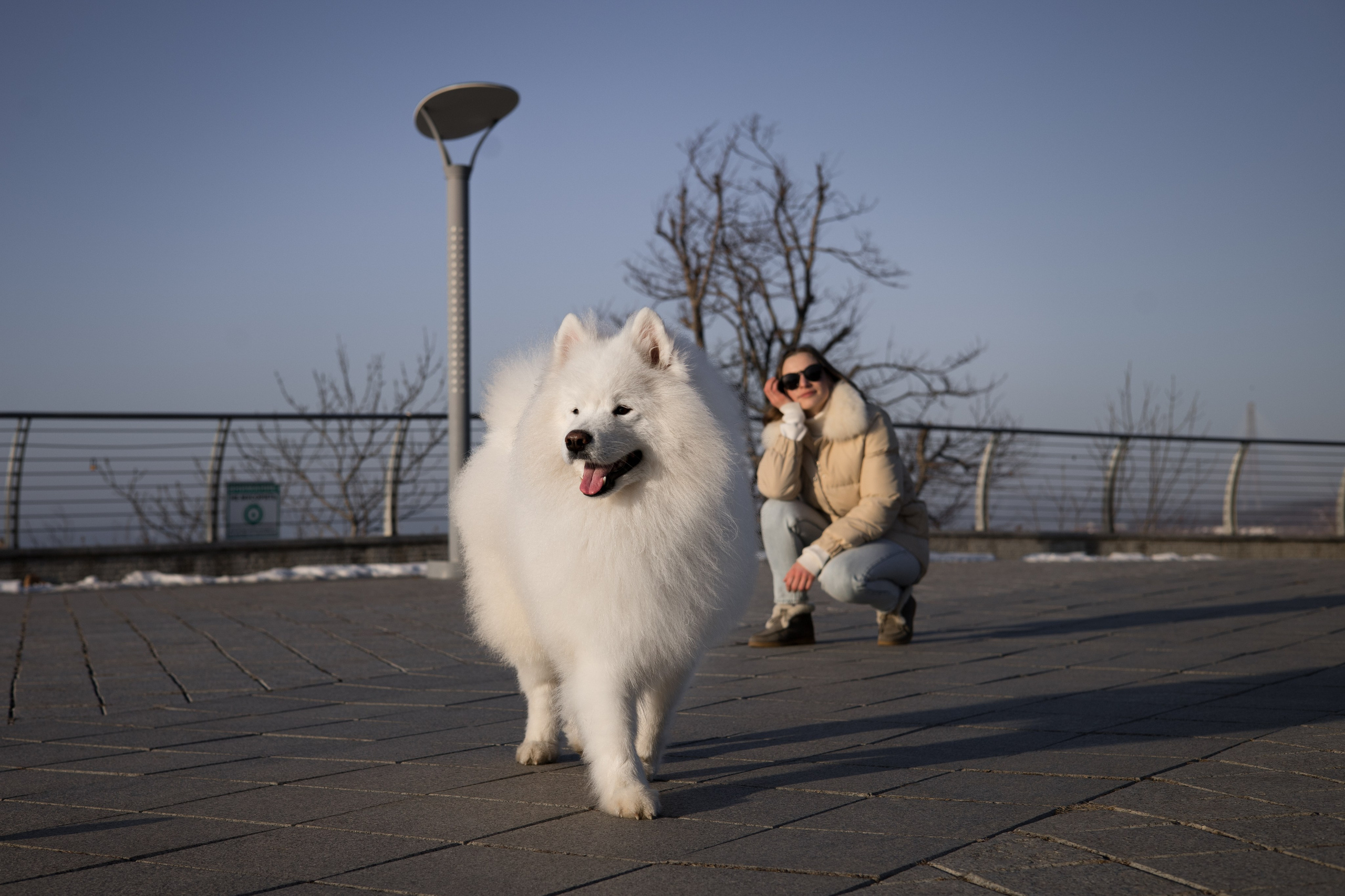 Полина и Вирчик. Фотограф — анималист Владивосток, Алина
