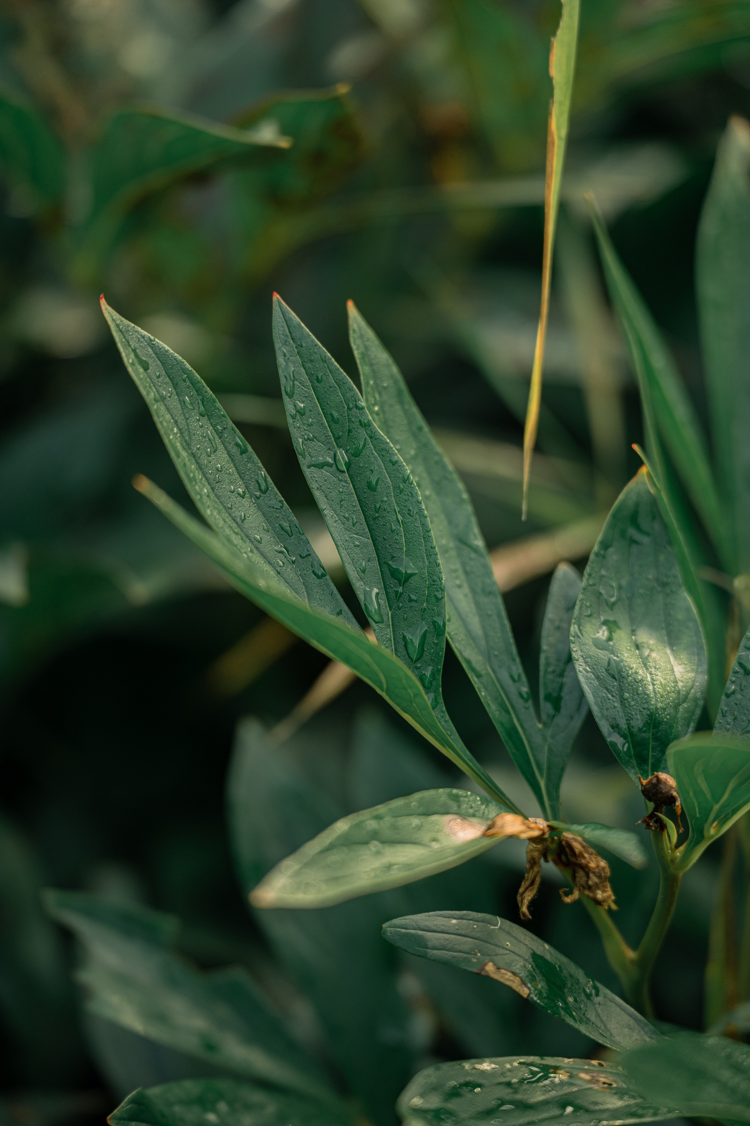 ATMOSPHERE. Фотограф Юрина Ксения Москва
