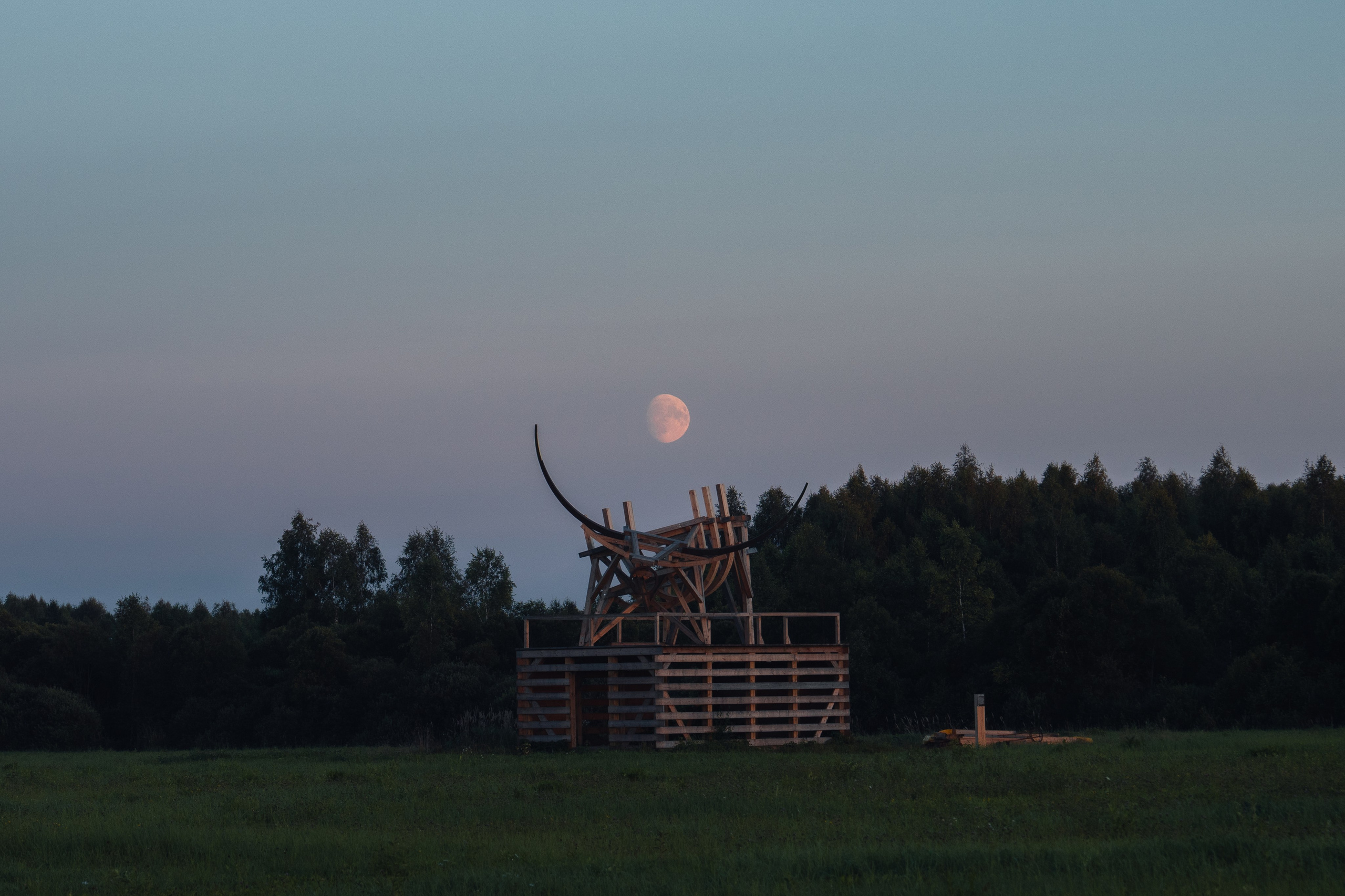 Signal 2024. @tomrus: Рустам Шагиморданов — фотограф