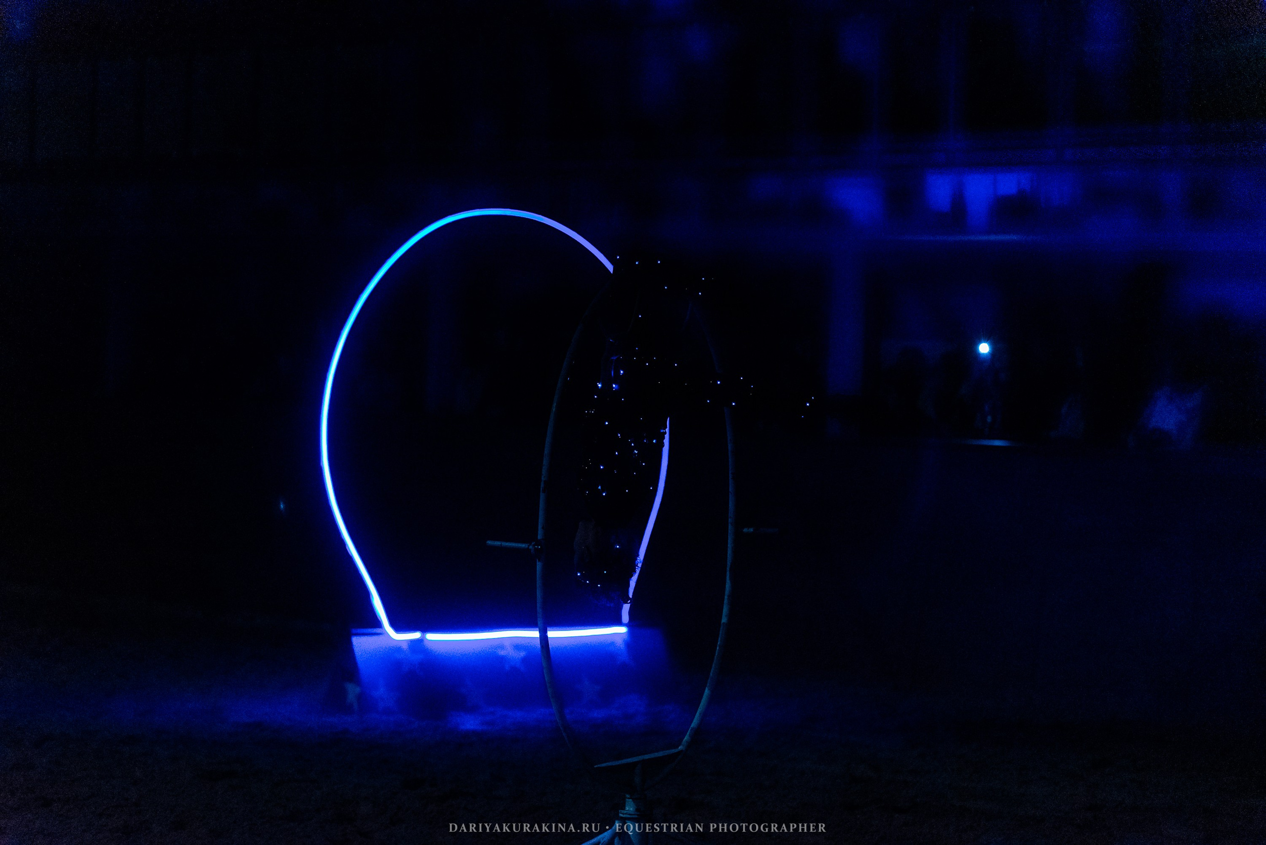 Конное представление «Дыхание Звёзд». Конный фотограф Куракина Дарья • Фотосессии с лошадьми