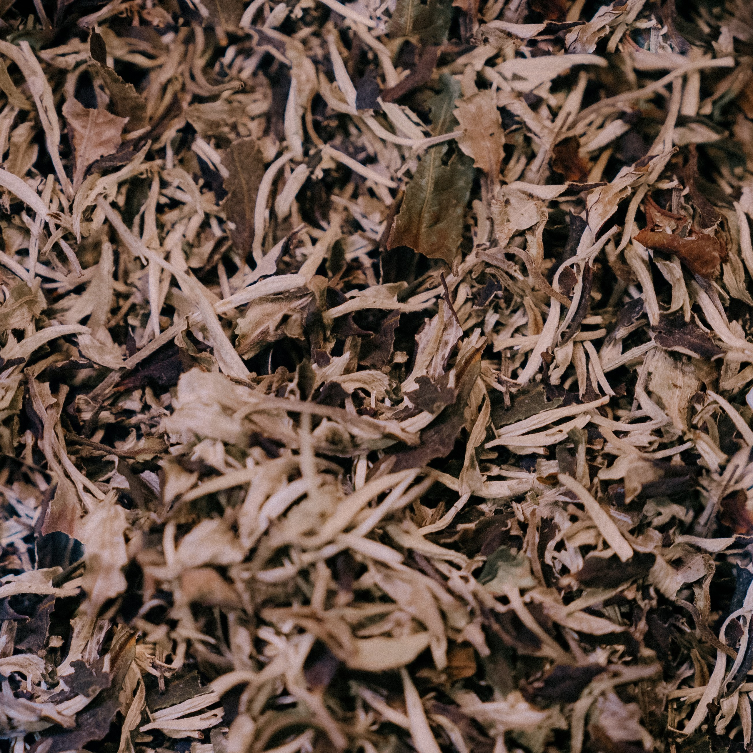 Айрочай. Фотограф Пермь | Чернушка | Копытов Игорь