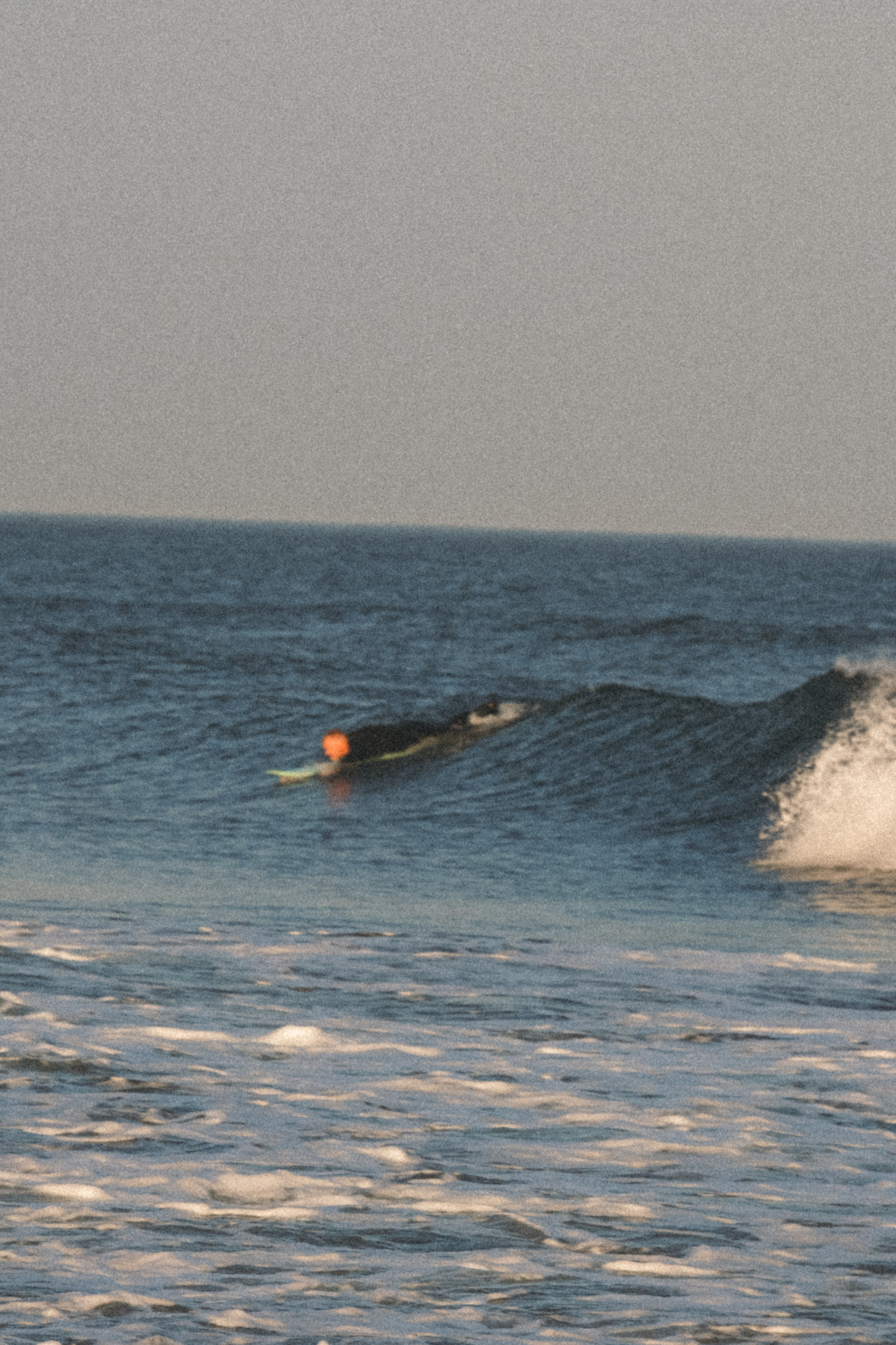 Тихий океан. Профессиональный фотограф, Санкт-Петербург — Виктория Богомолова