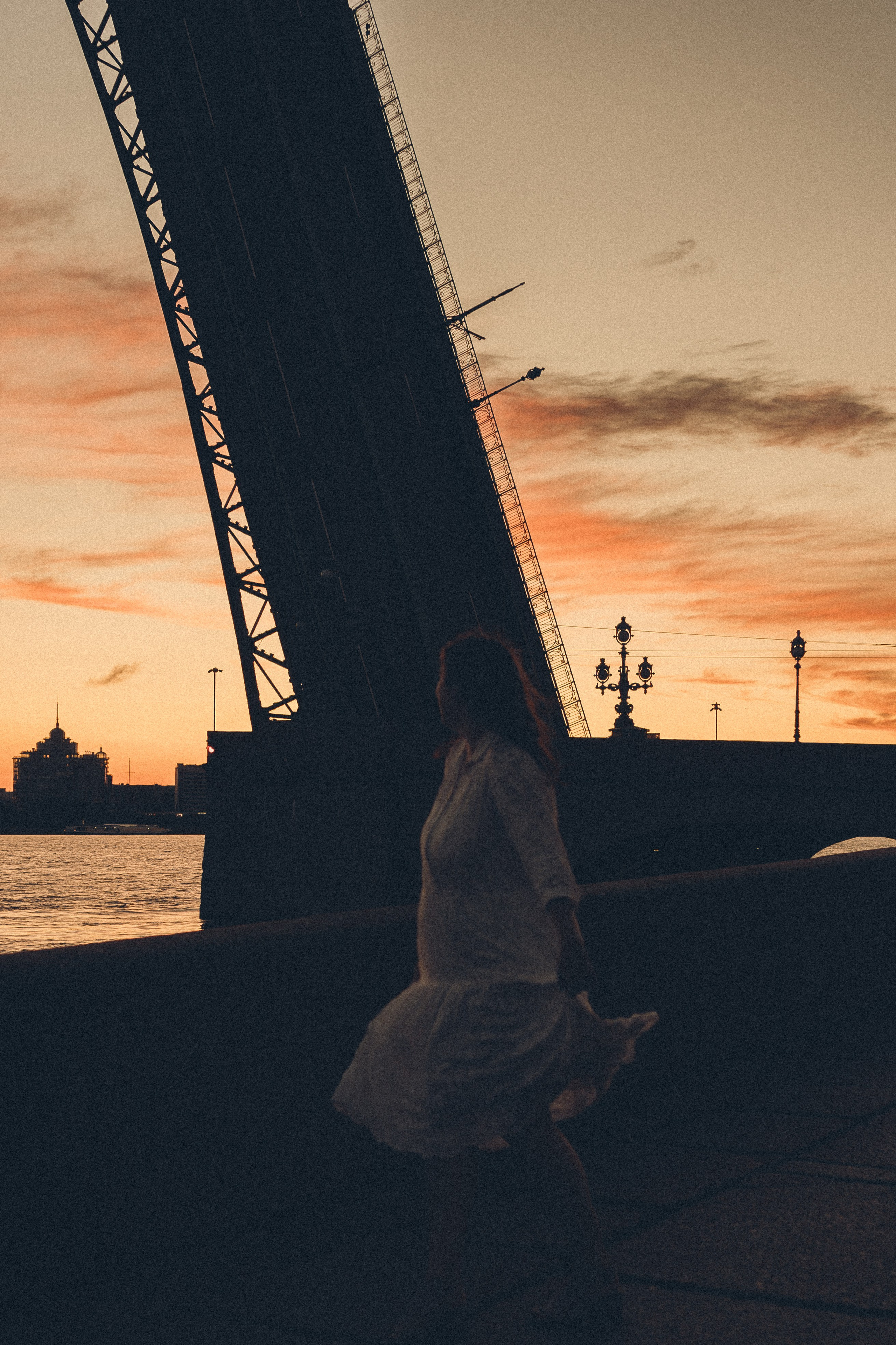 РАССВЕТ С РАЗВОДНЫМИ МОСТАМИ. Профессиональный фотограф, Санкт-Петербург — Виктория Богомолова