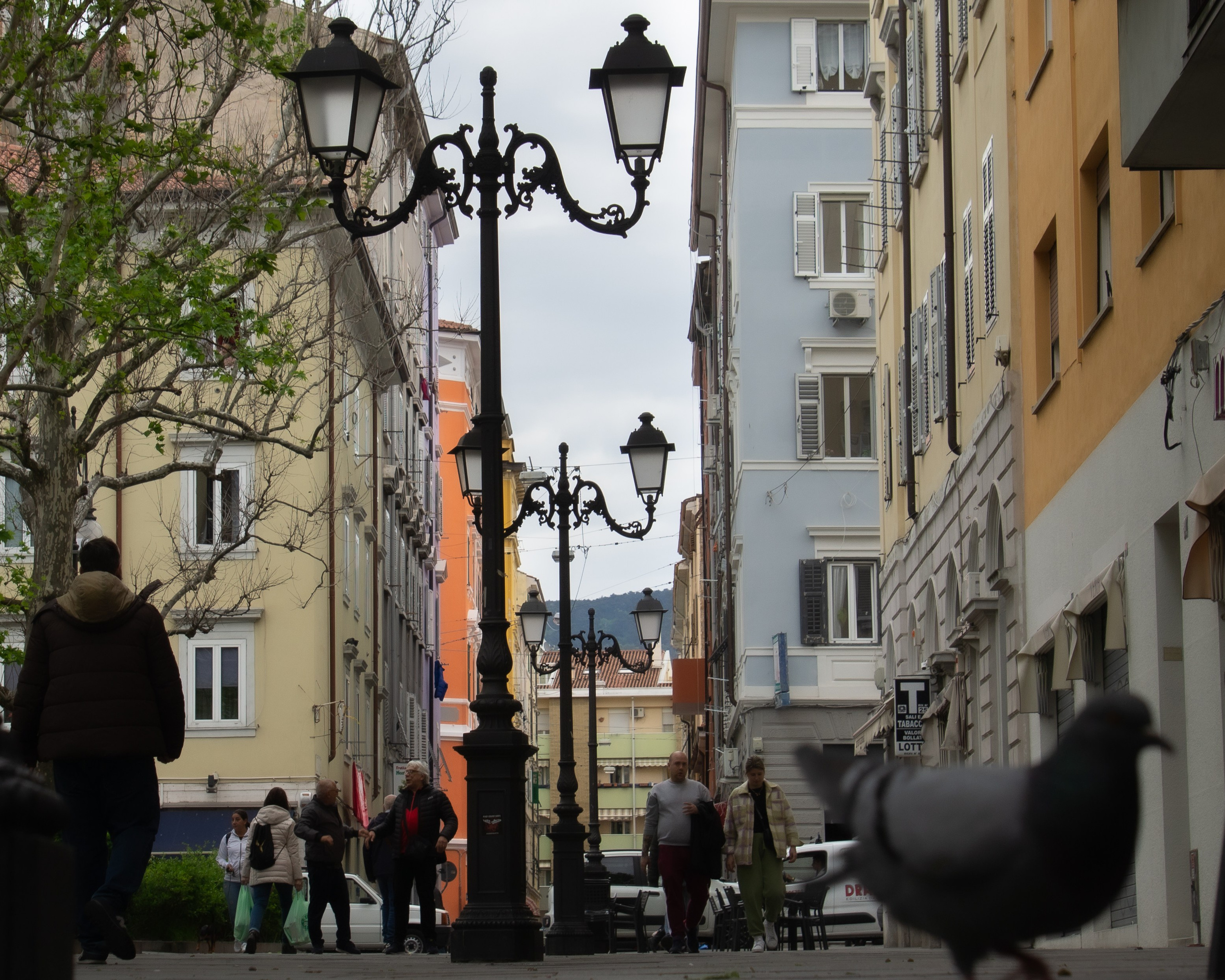 Lanterne di una citta. Fotografo Alina Imanbaeva Trieste e FVG