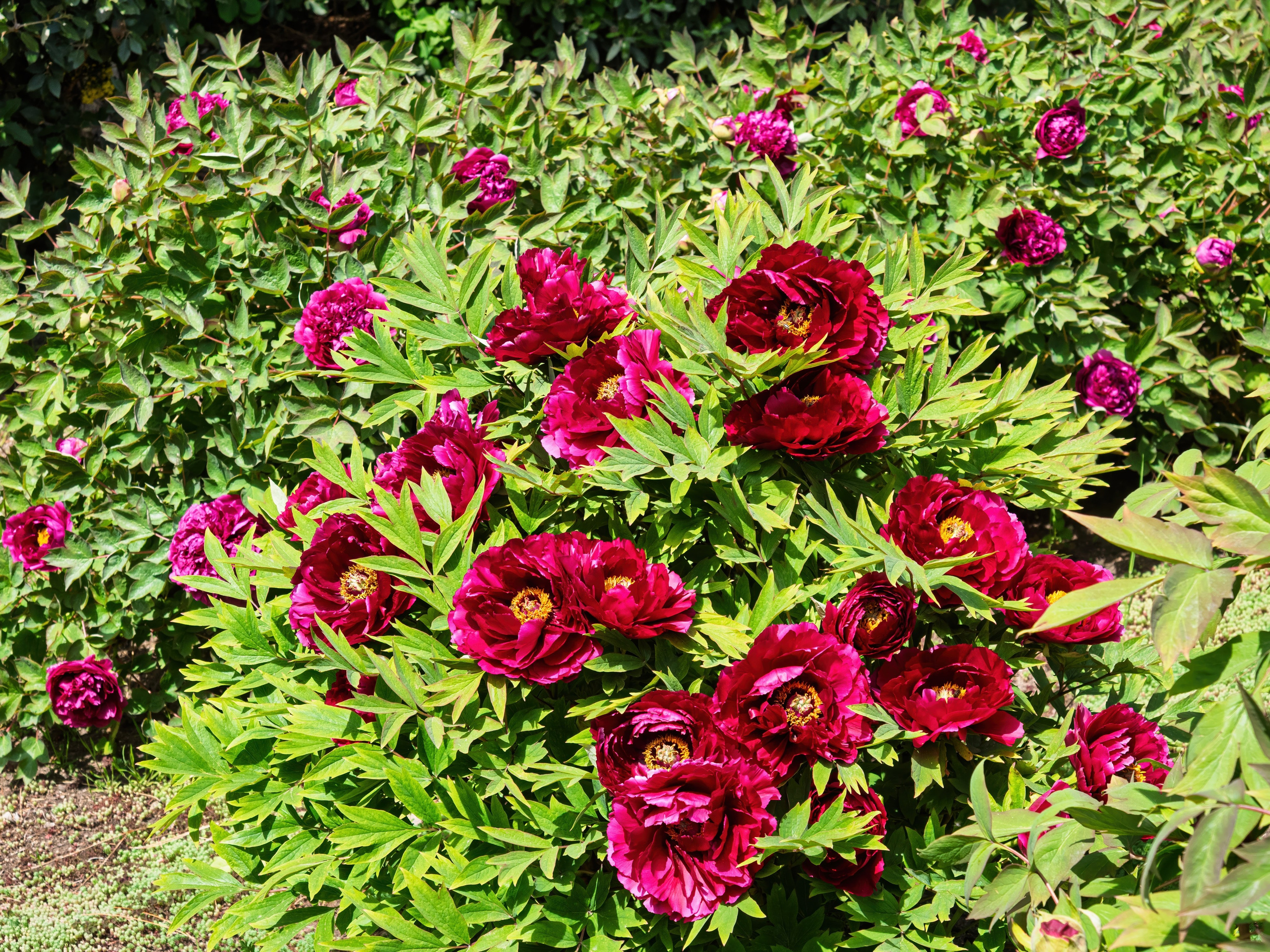 Крым, Утес, 2021 год. Фотограф Никифоров-Гордеев Сергей. Москва и МО