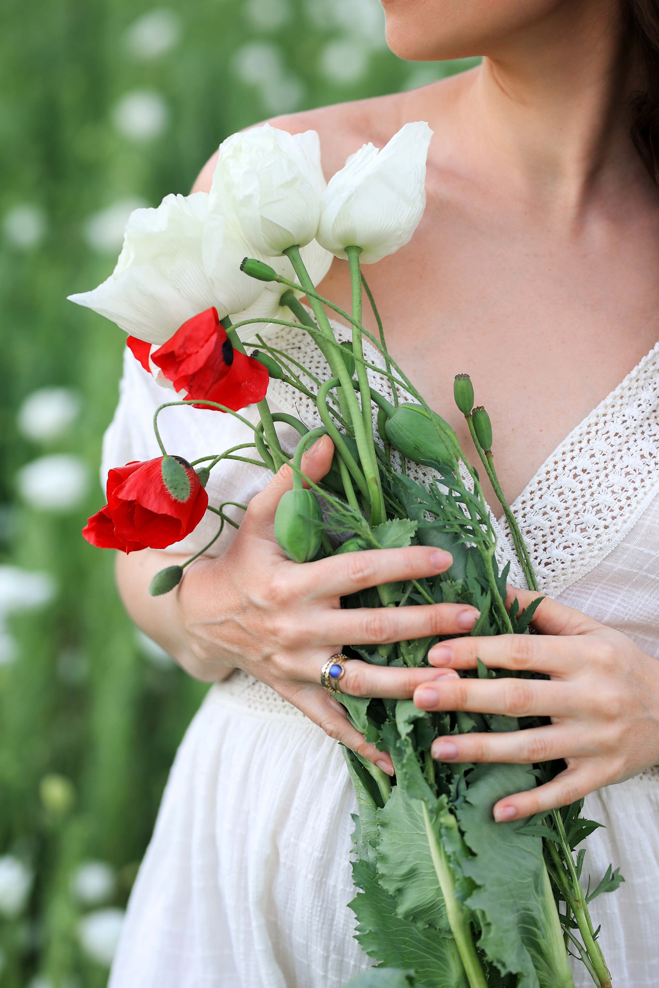 Fields of roses, irises and white poppies