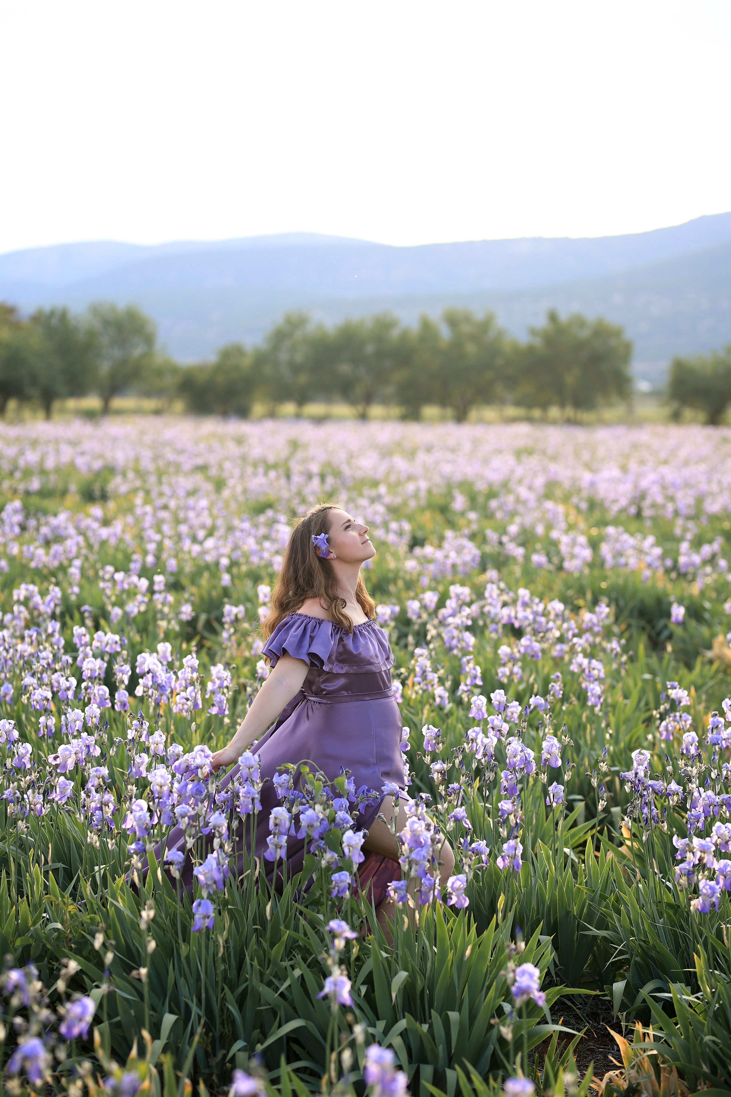 Fields of roses, irises and white poppies