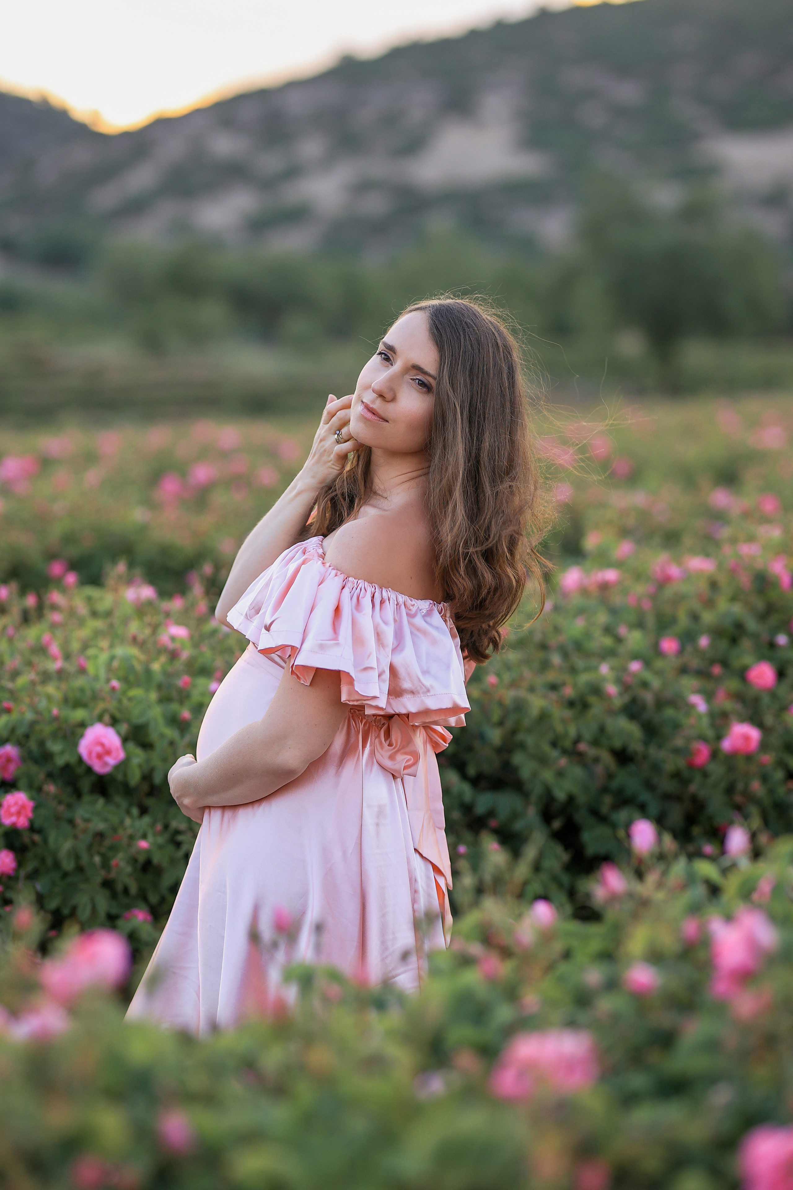 Fields of roses, irises and white poppies